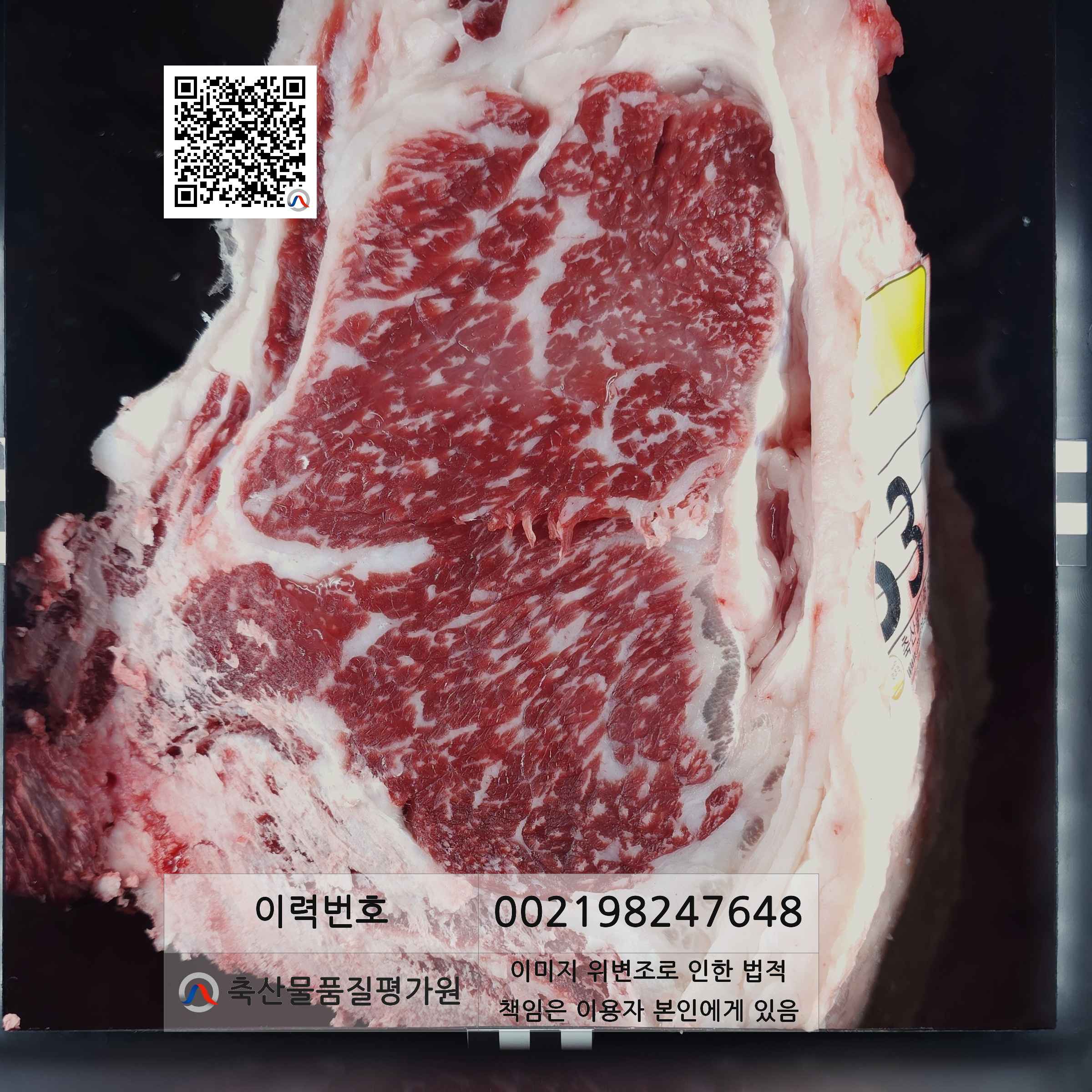 등심단면적 사진