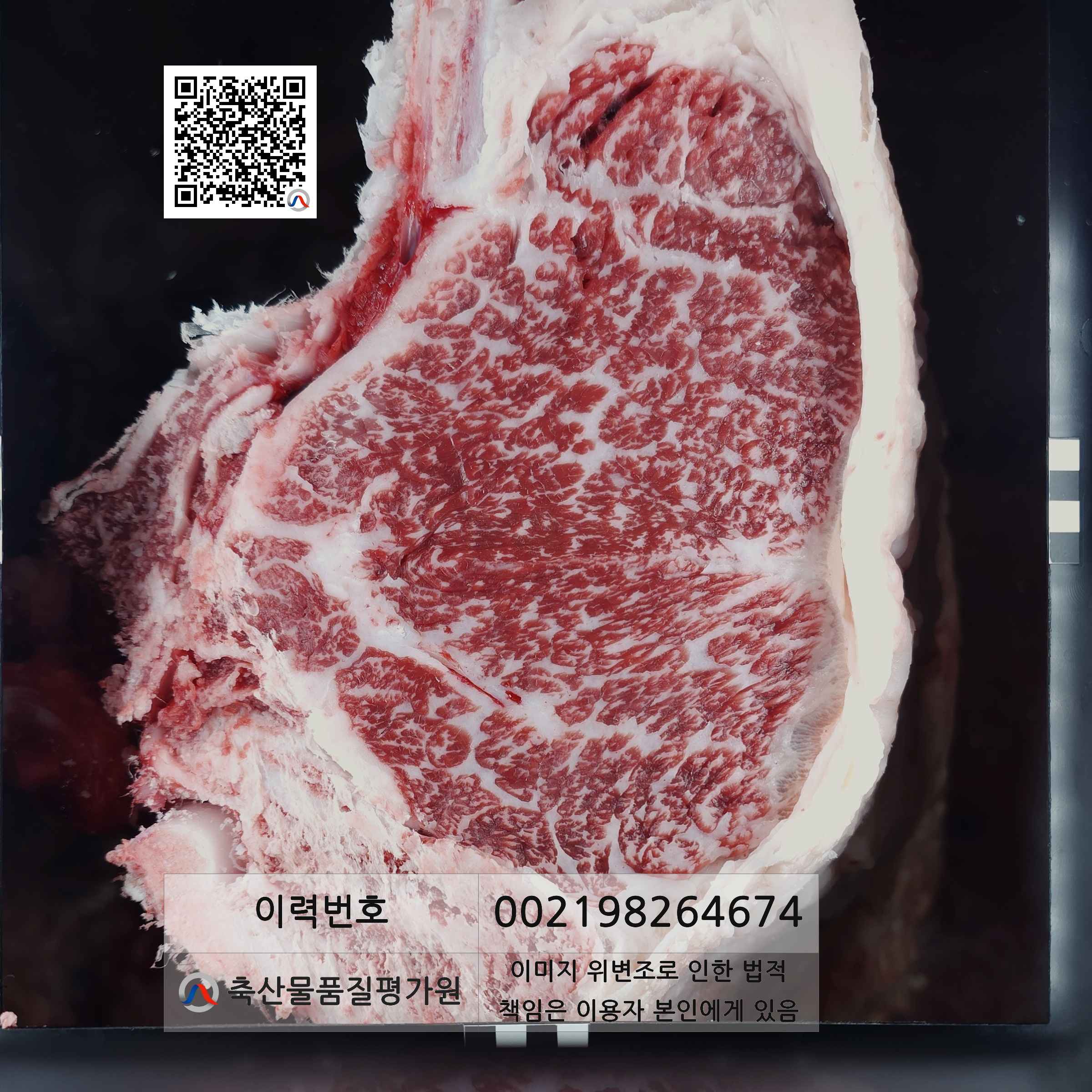 등심단면적 사진