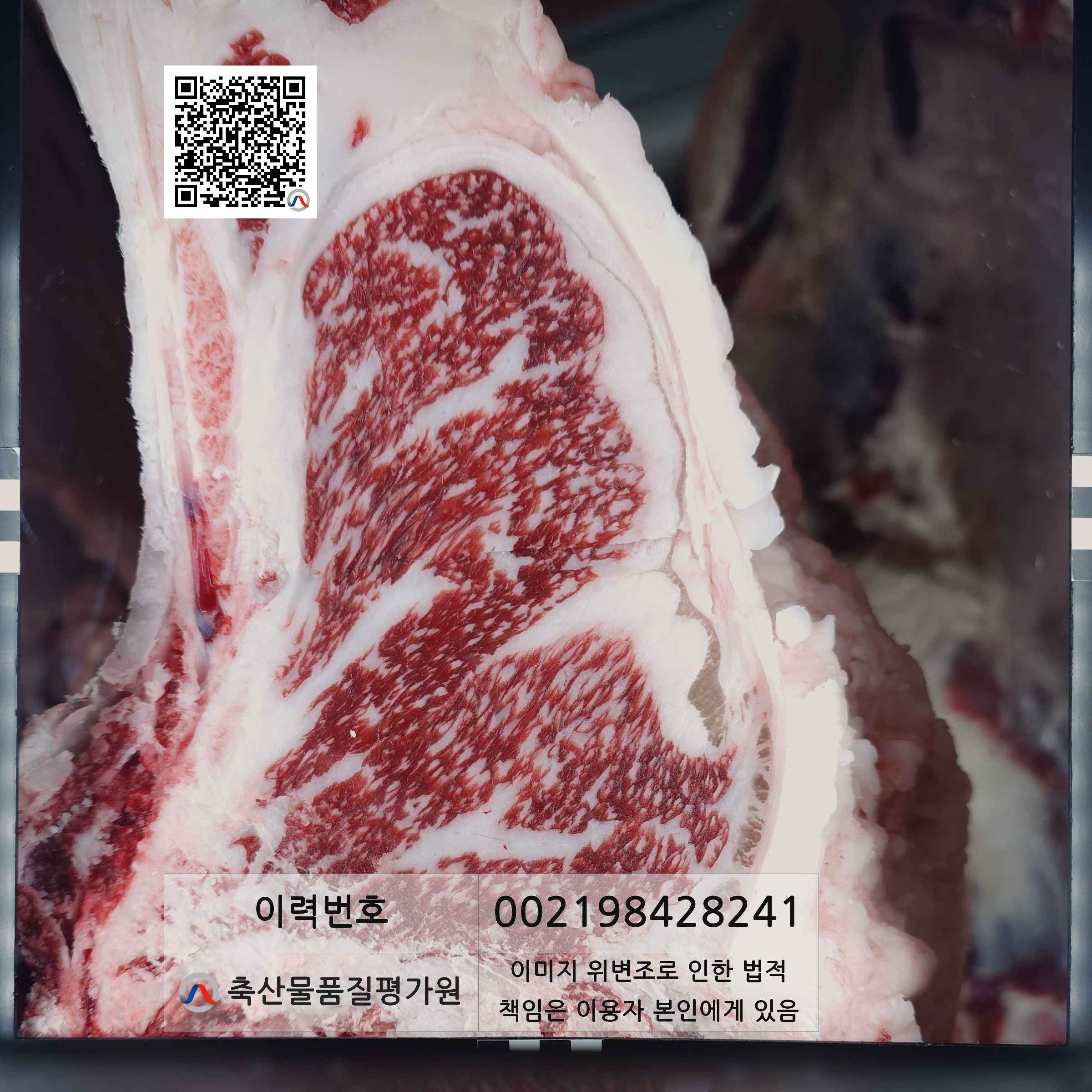 등심단면적 사진