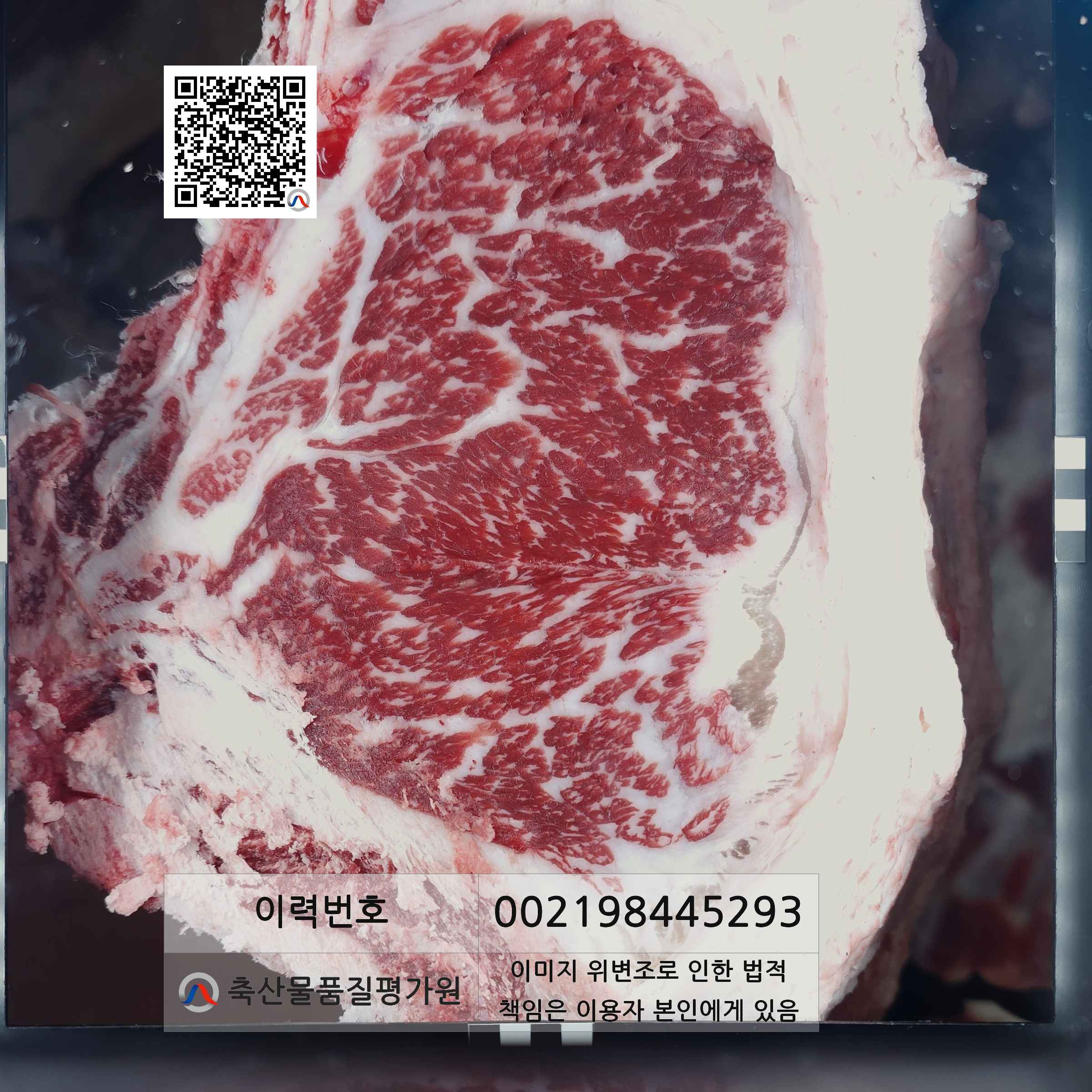 등심단면적 사진