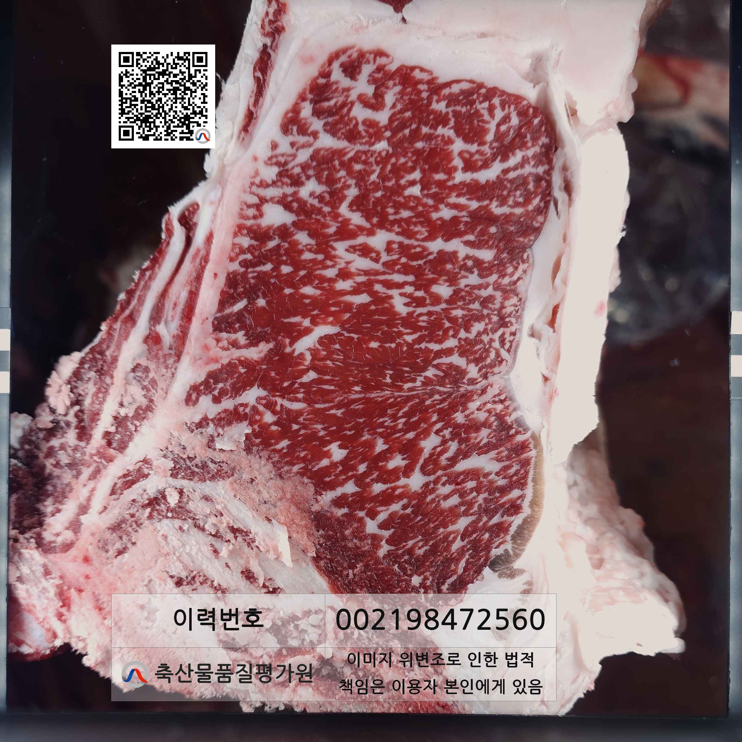 등심단면적 사진