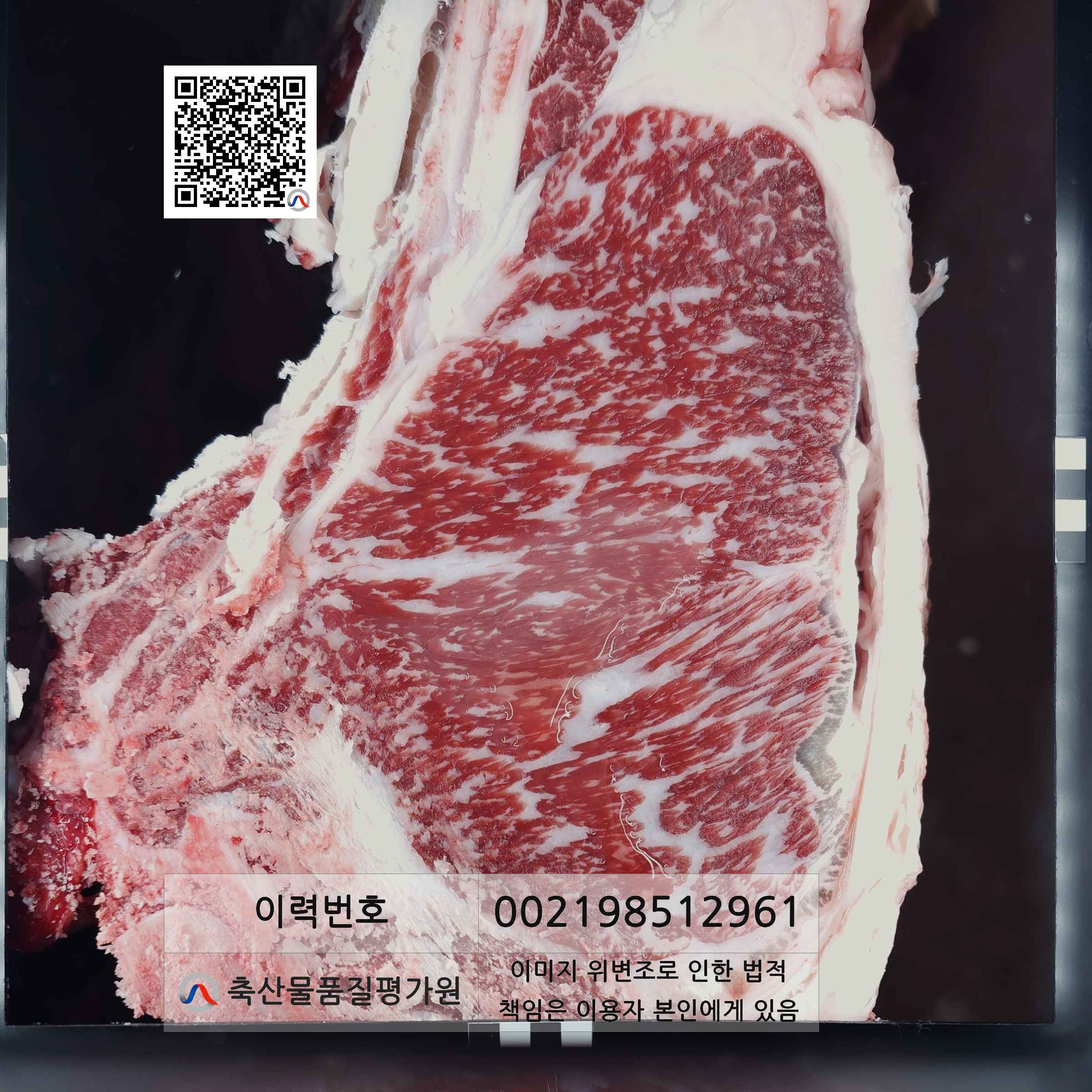 등심단면적 사진