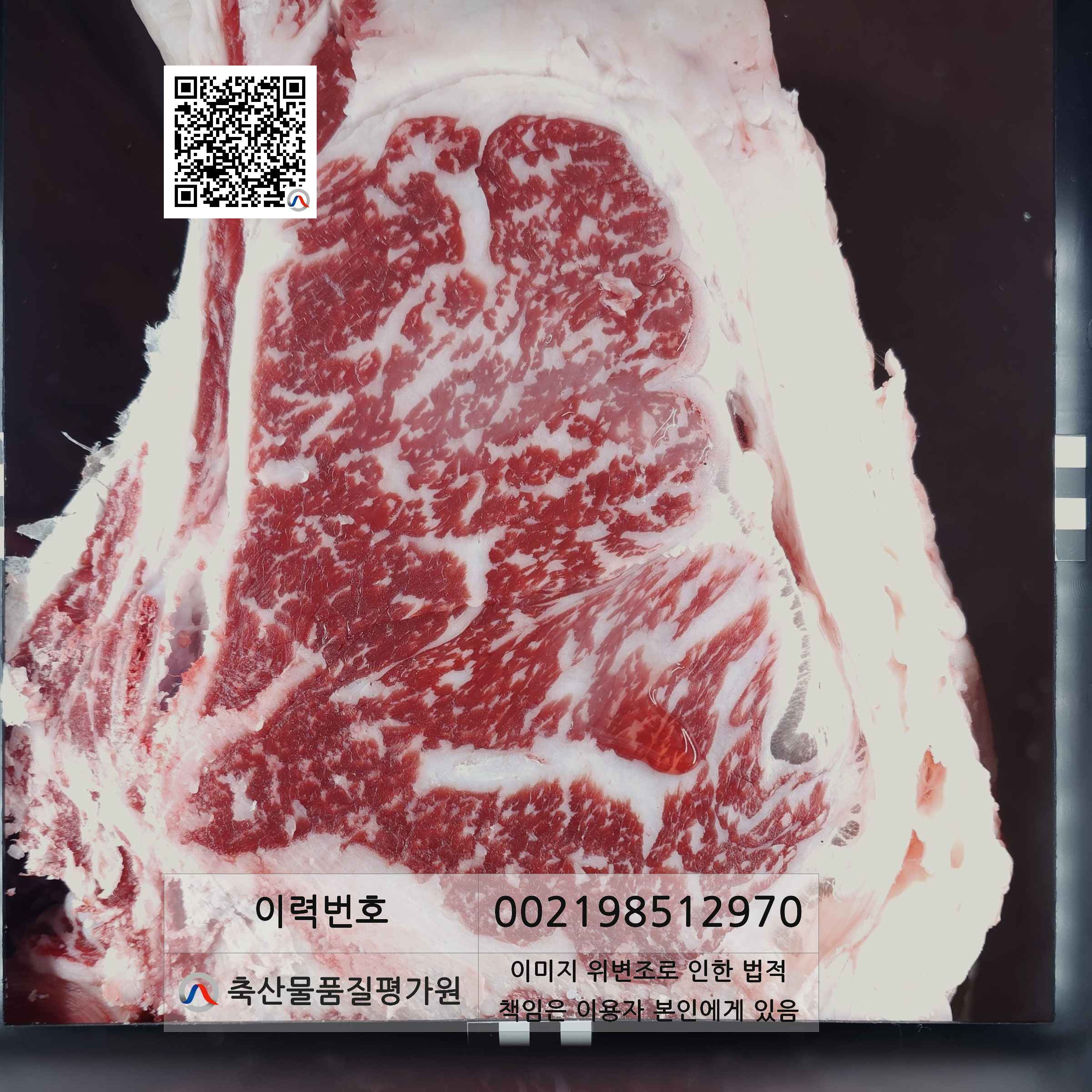 등심단면적 사진