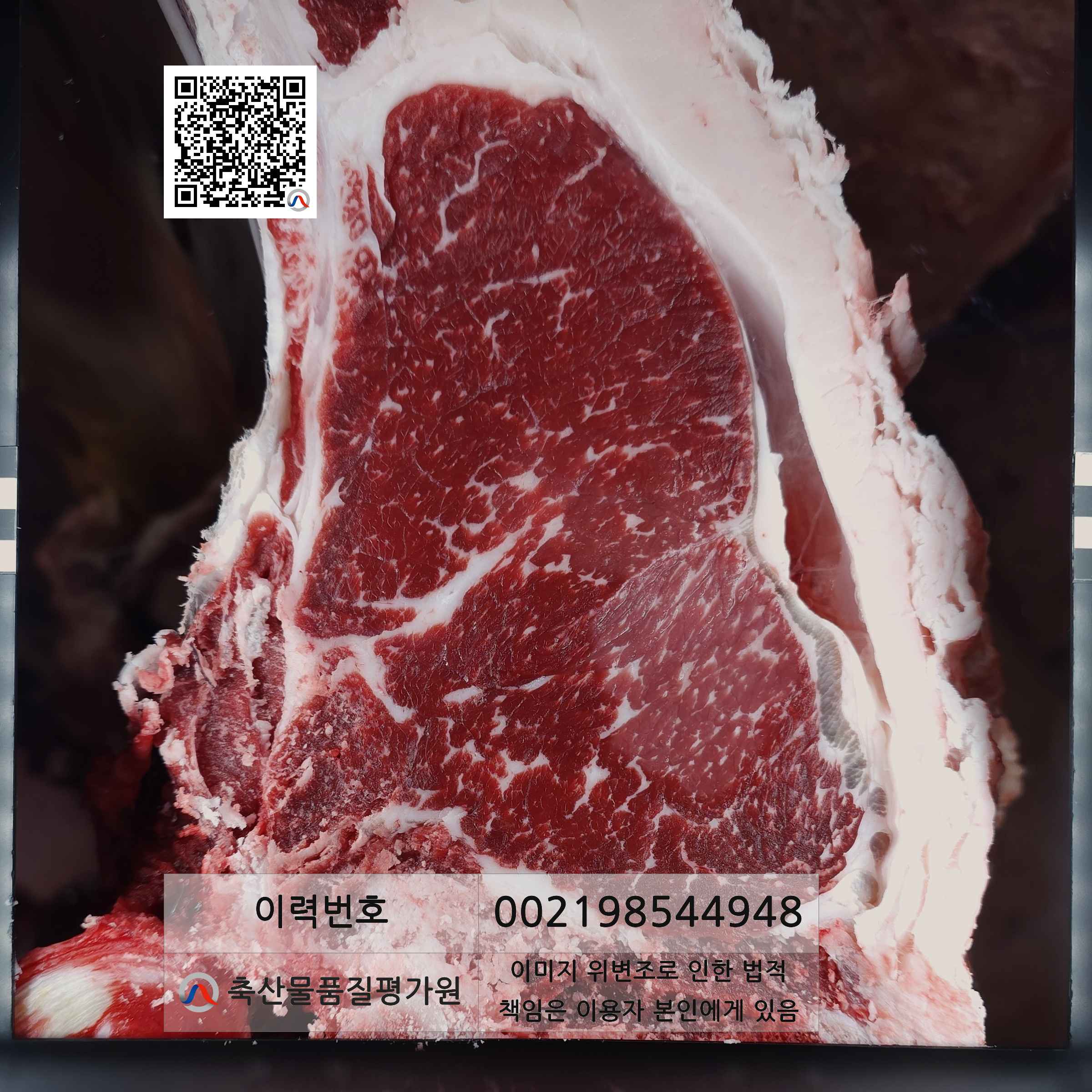등심단면적 사진