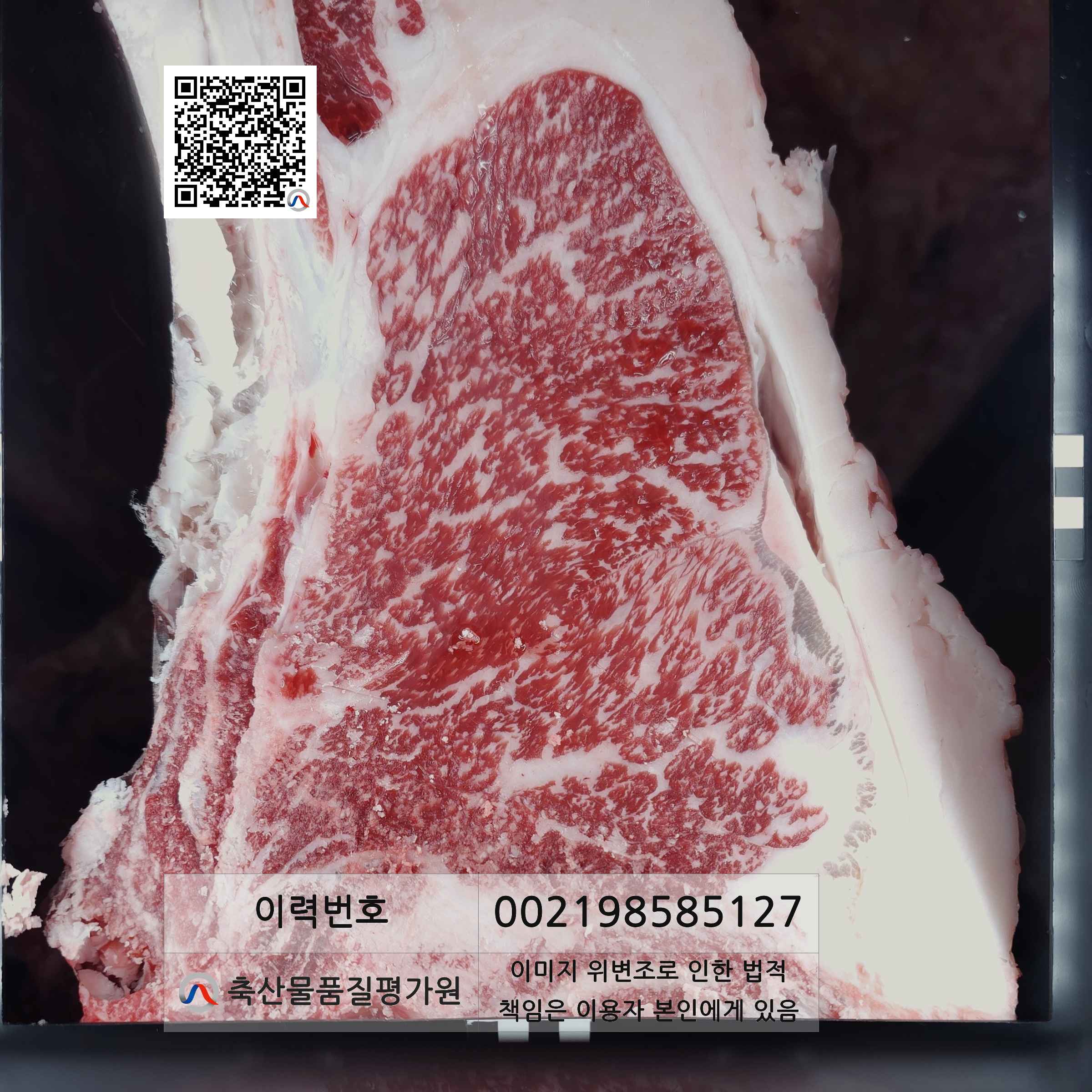 등심단면적 사진