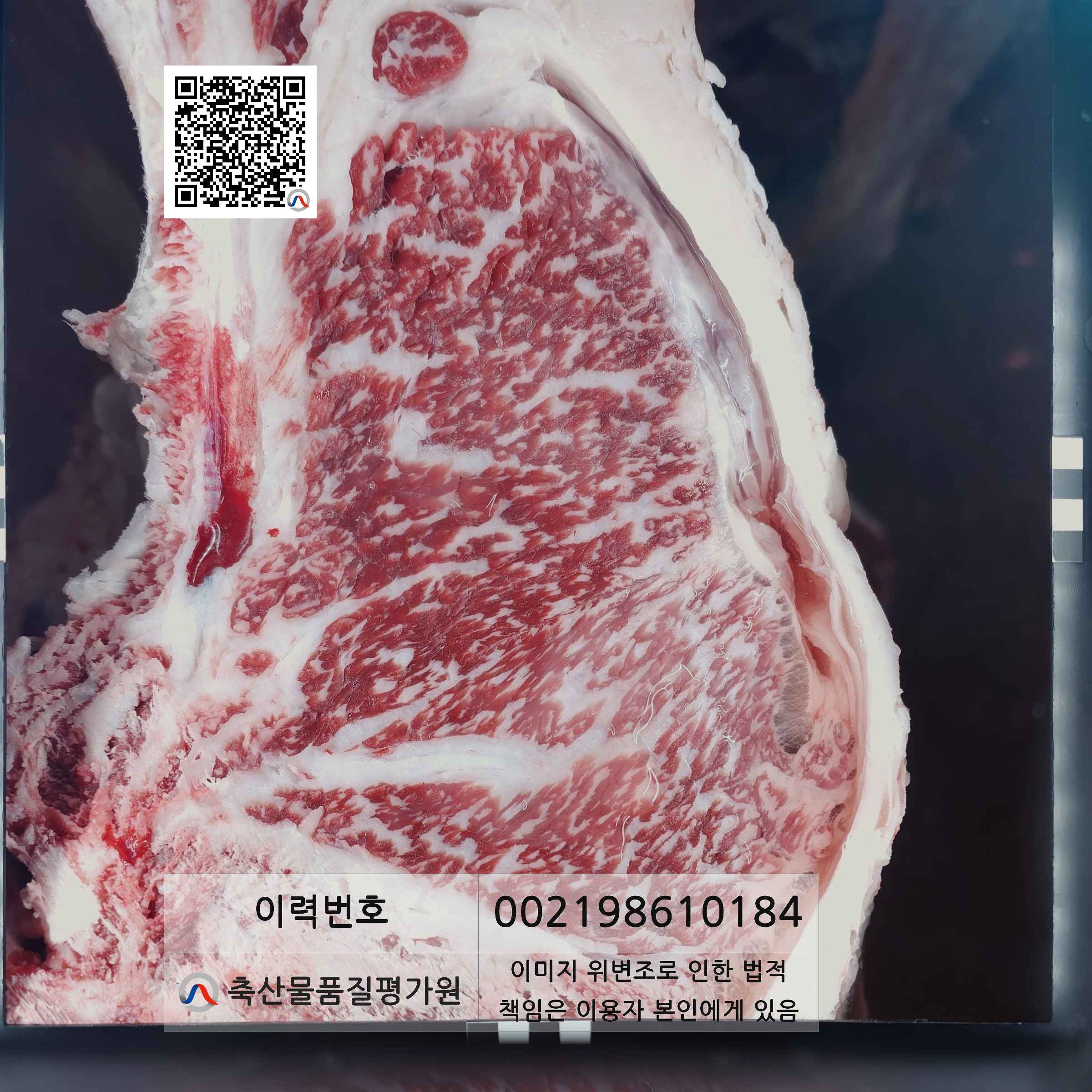 등심단면적 사진