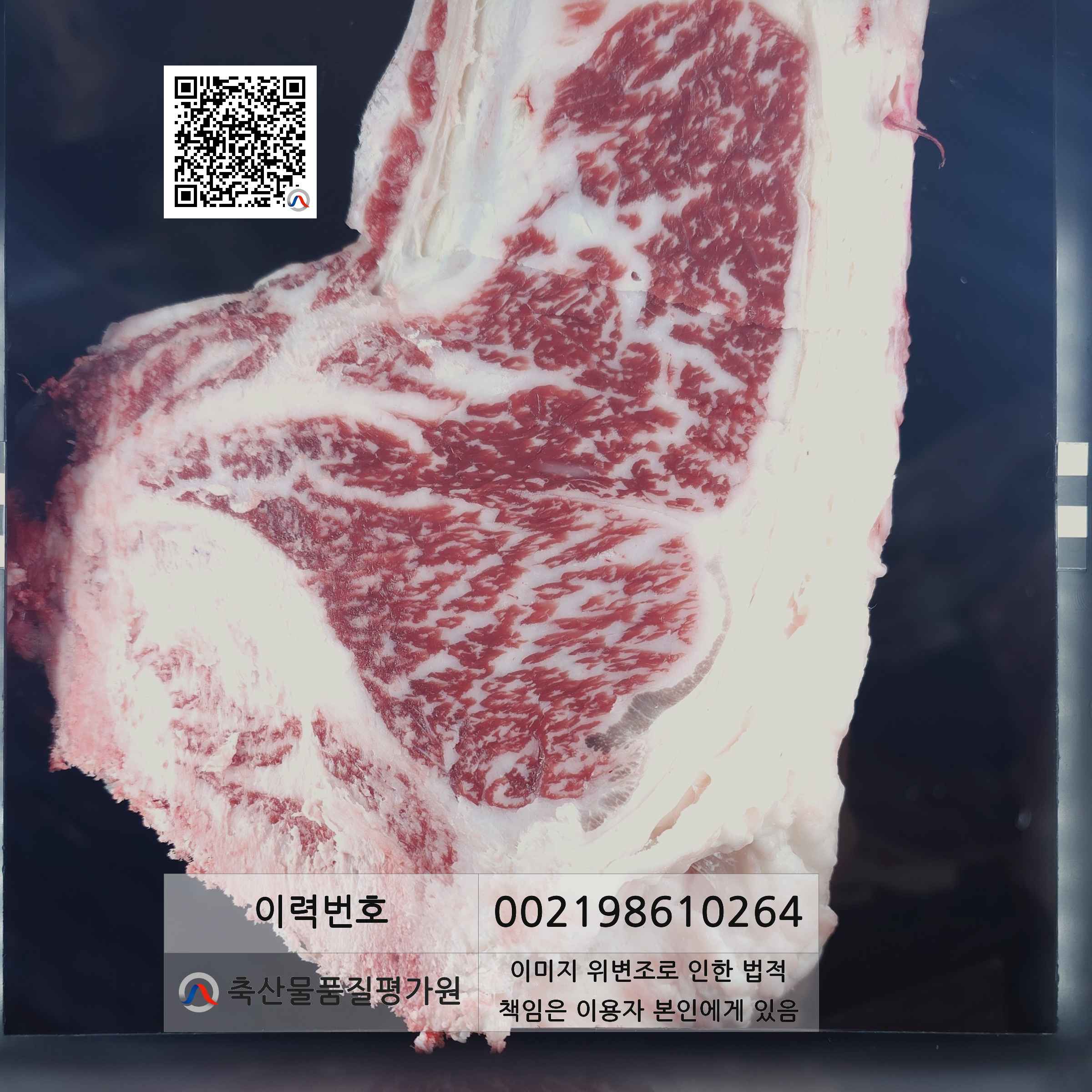 등심단면적 사진