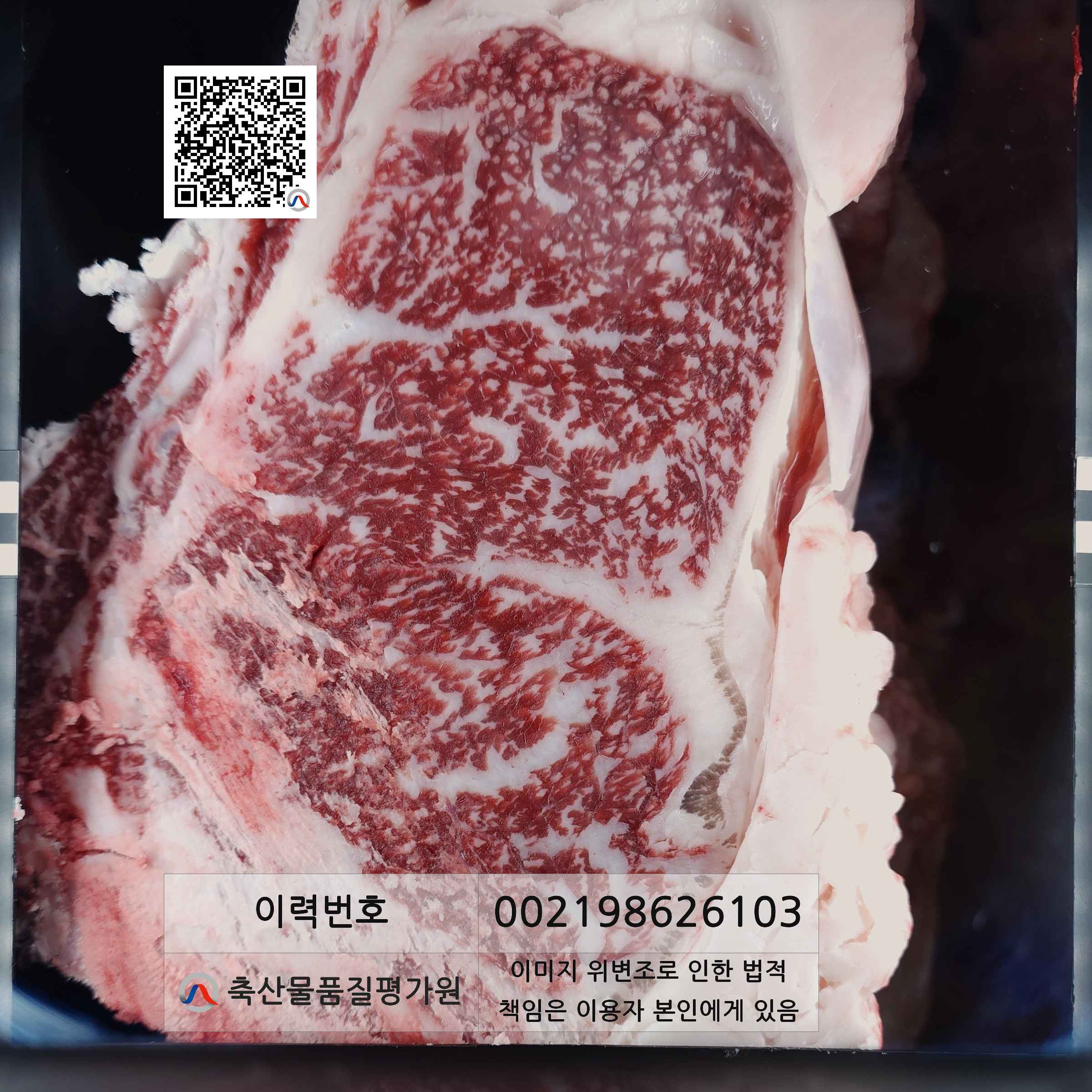 등심단면적 사진