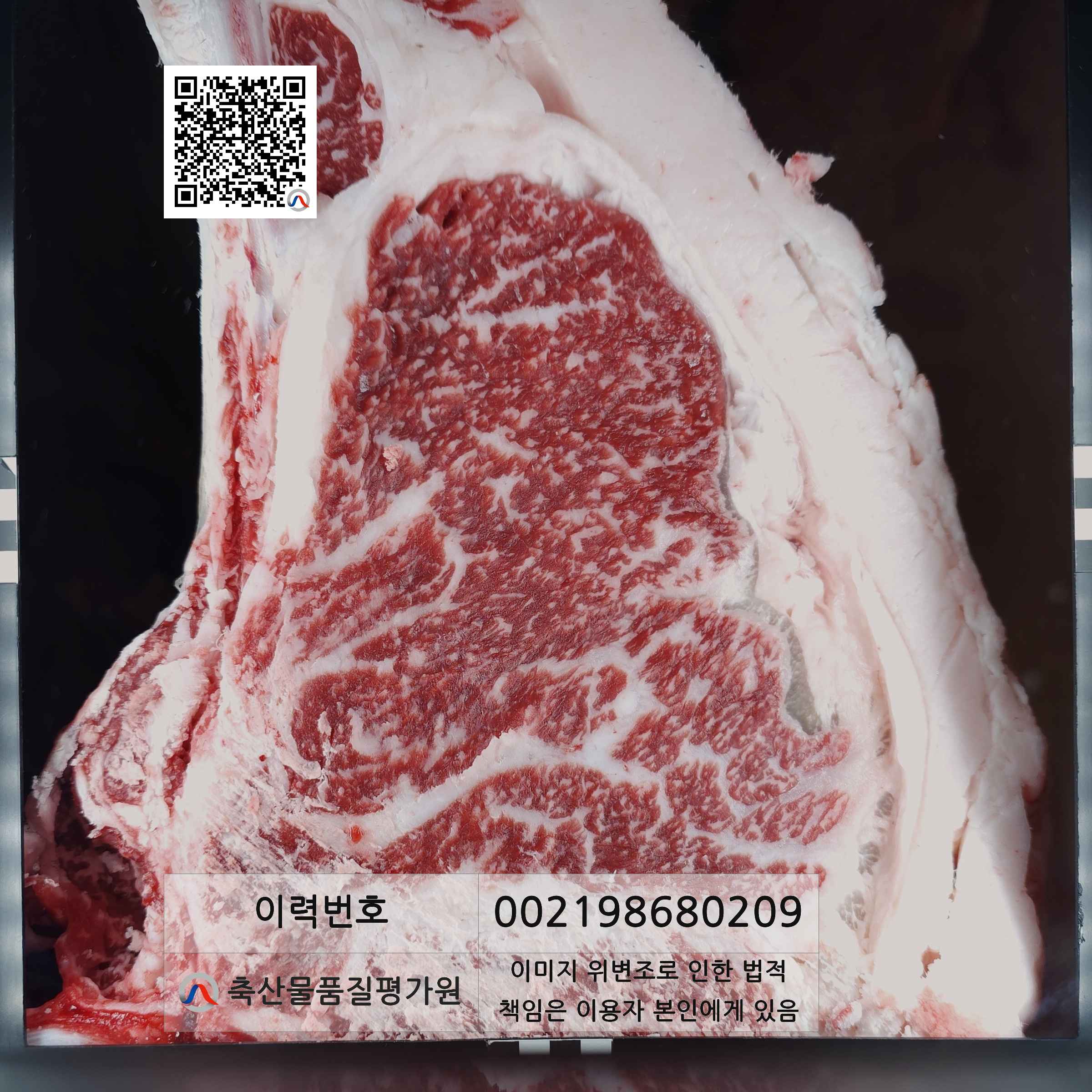 등심단면적 사진
