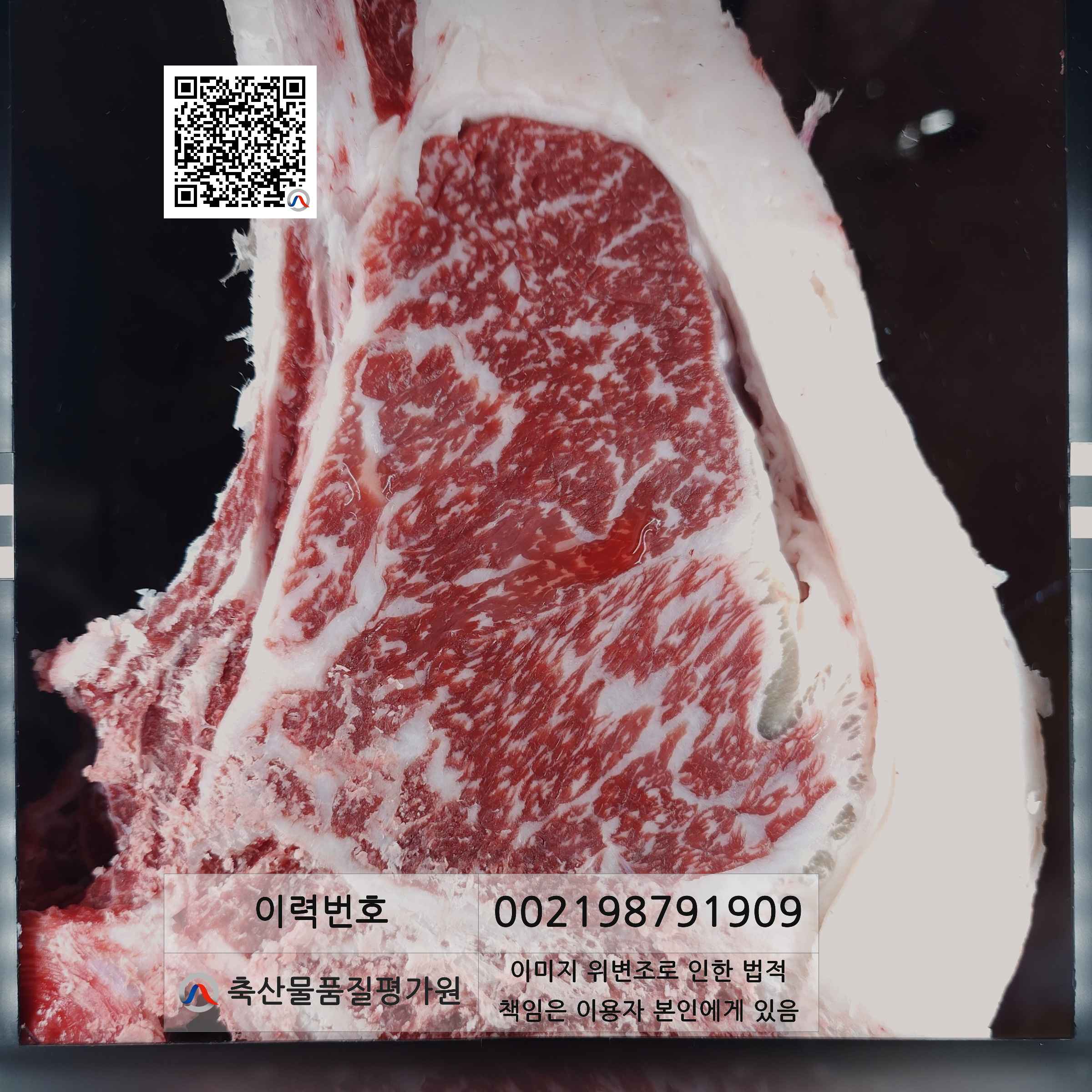 등심단면적 사진