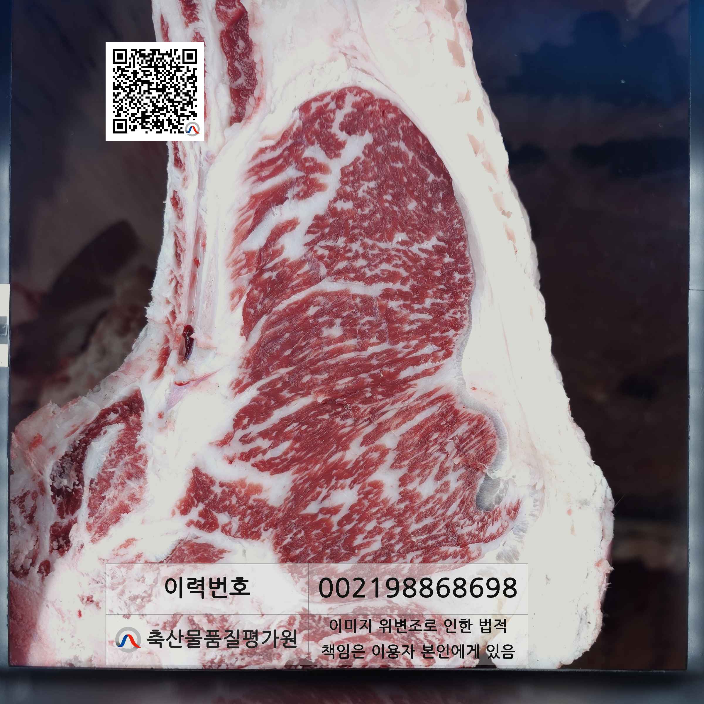 등심단면적 사진
