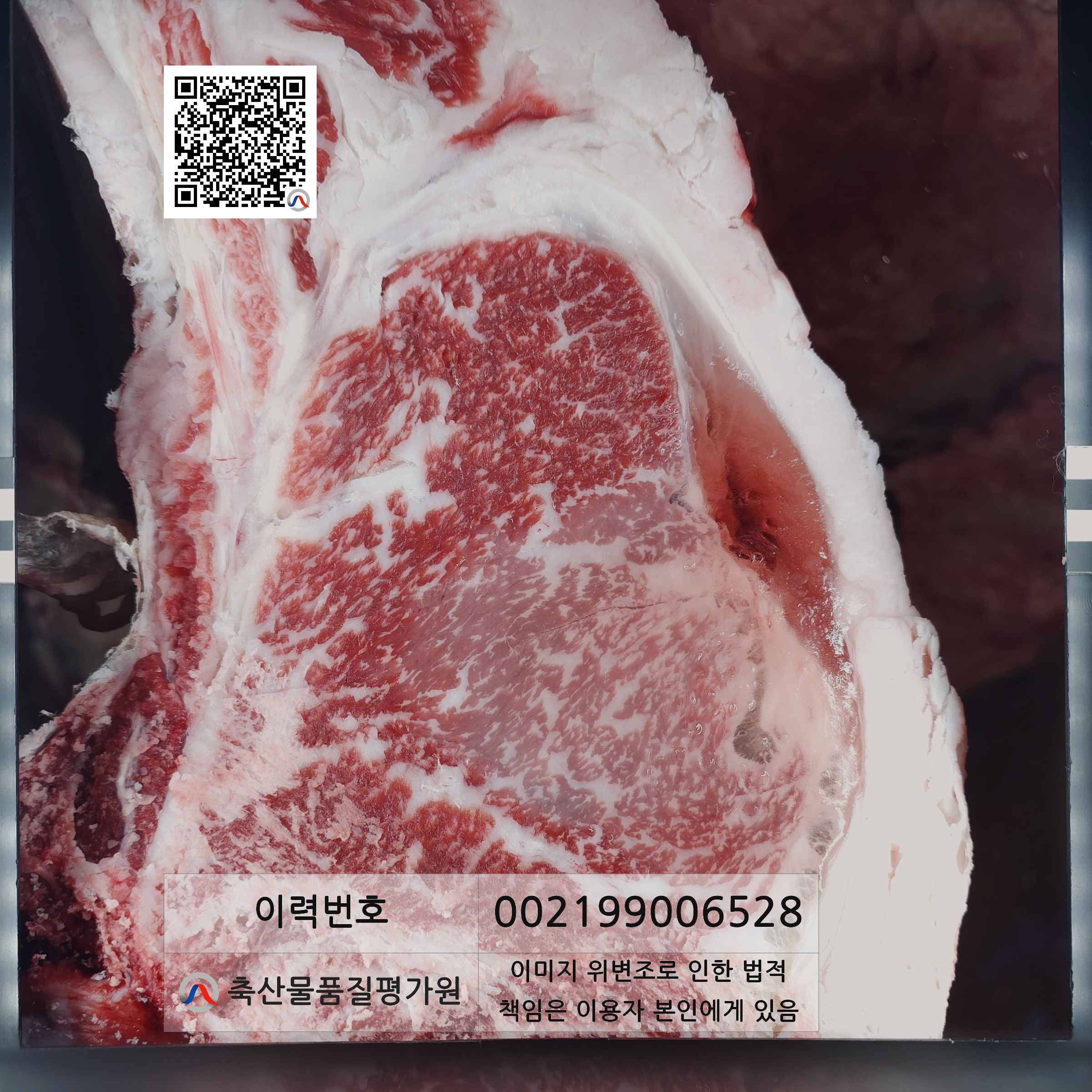 등심단면적 사진