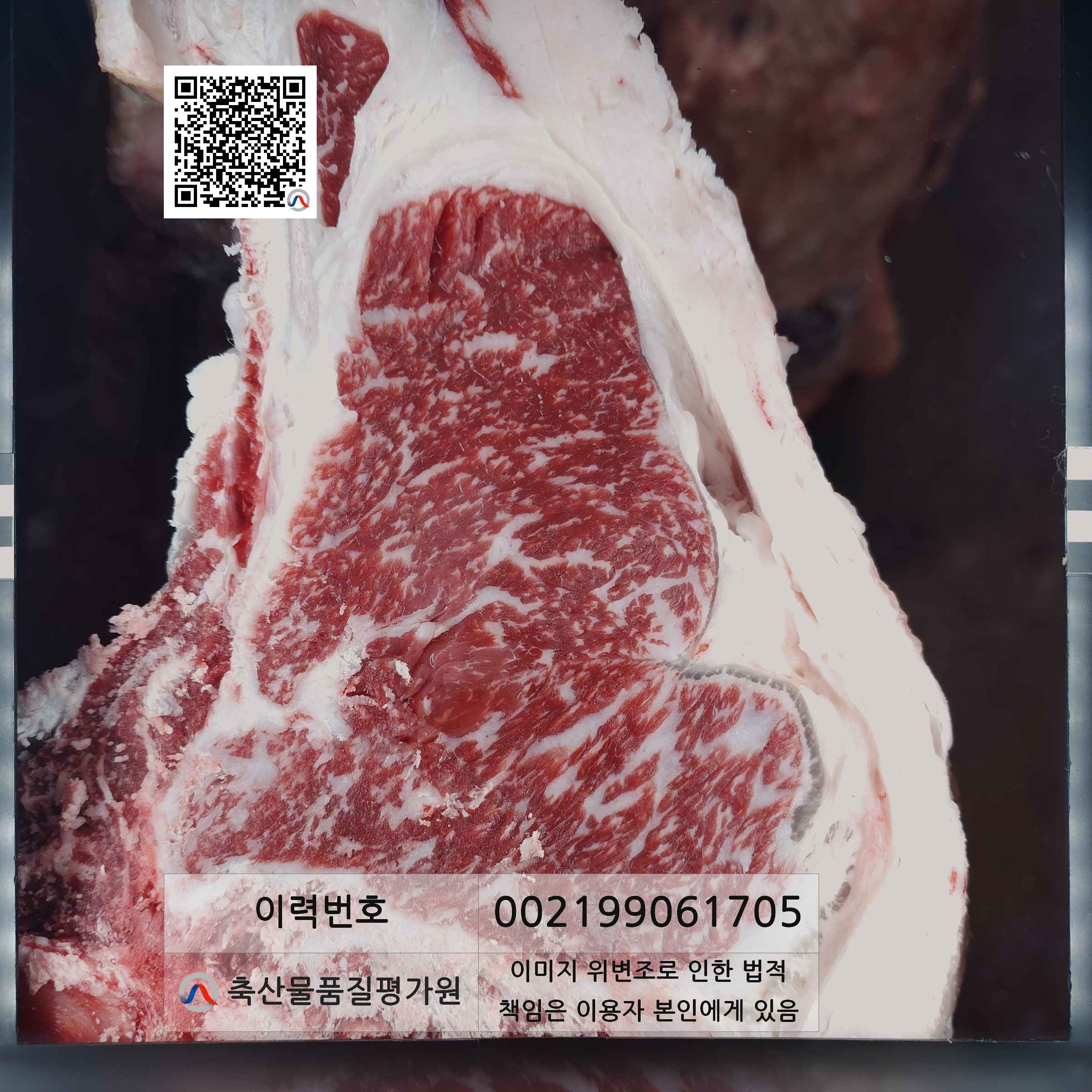 등심단면적 사진