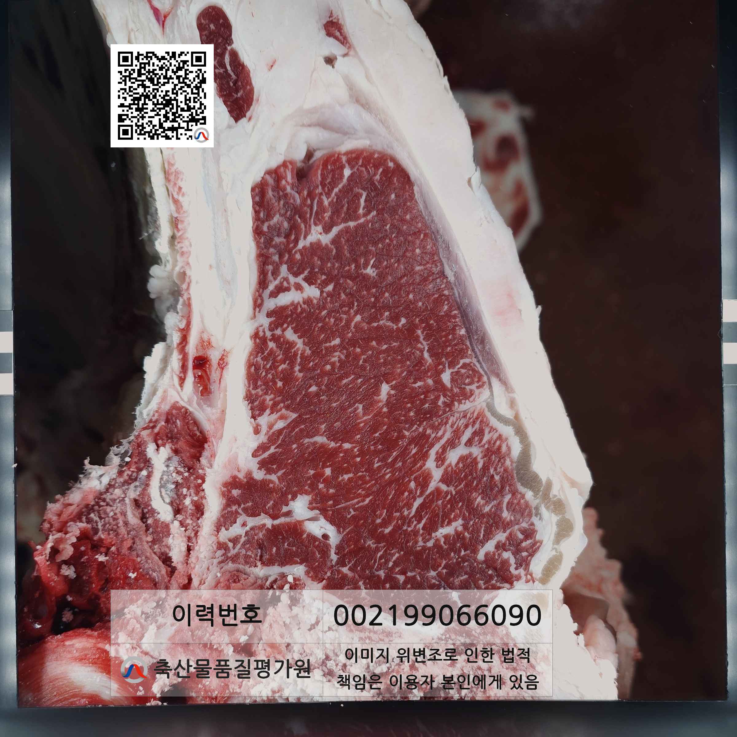 등심단면적 사진