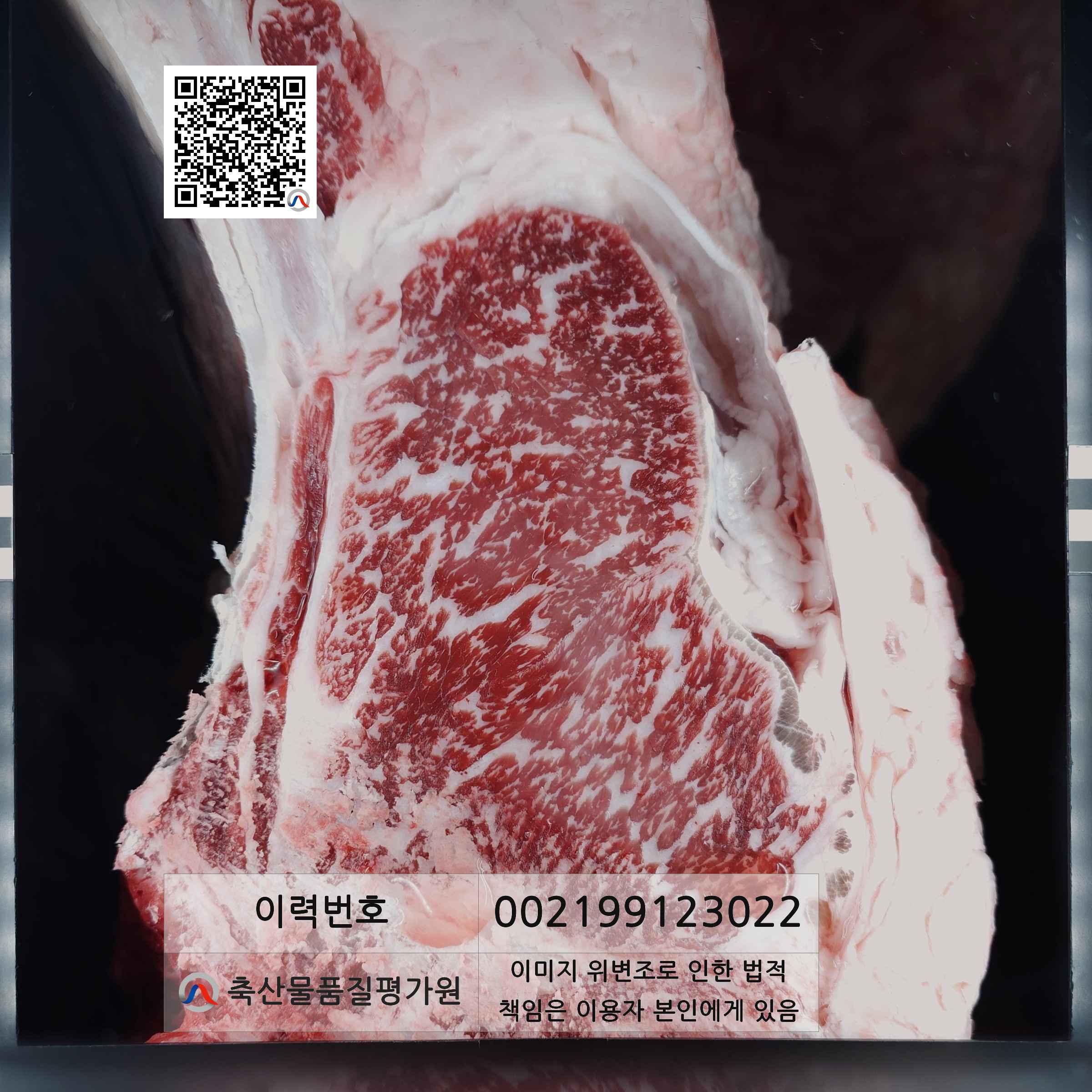 등심단면적 사진
