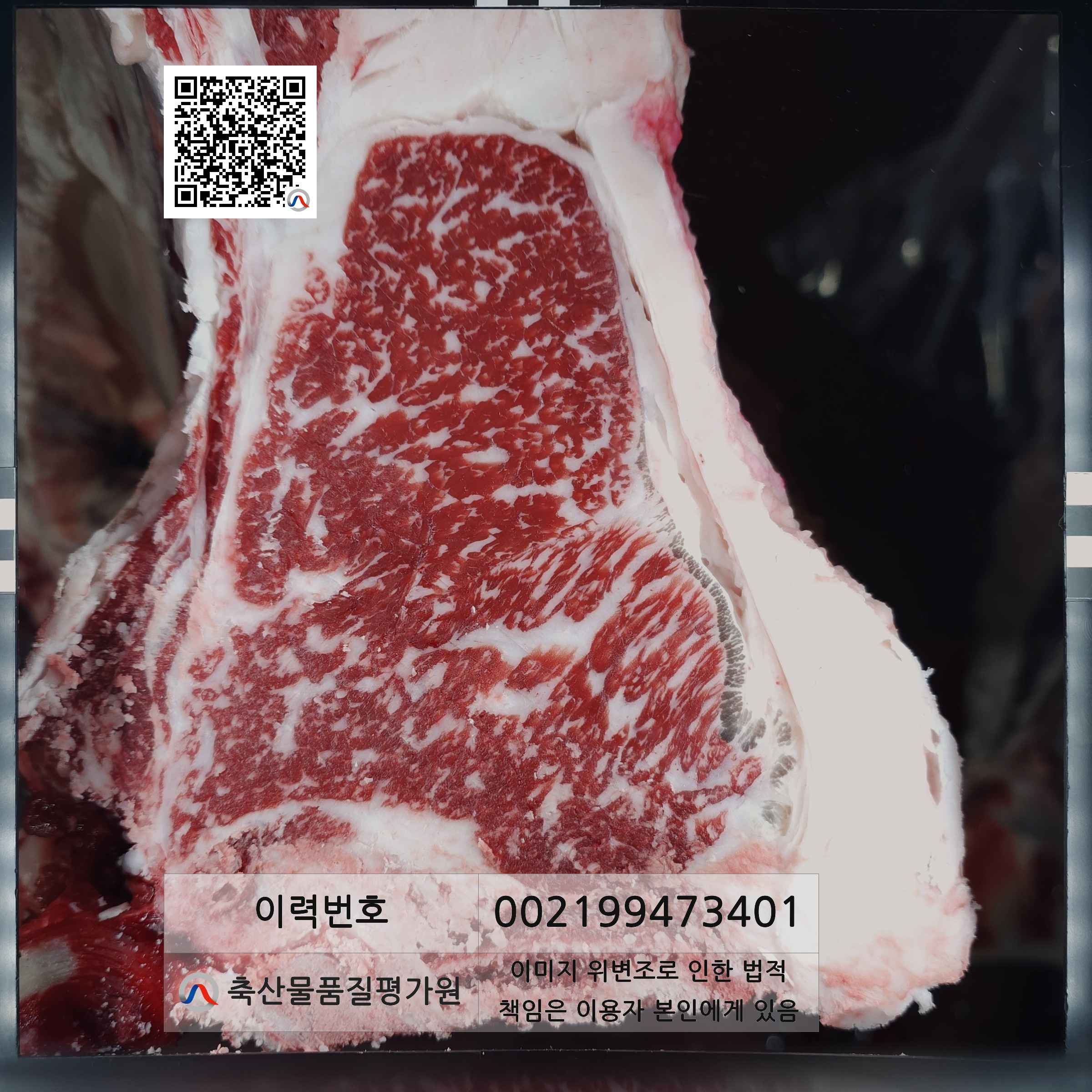 등심단면적 사진