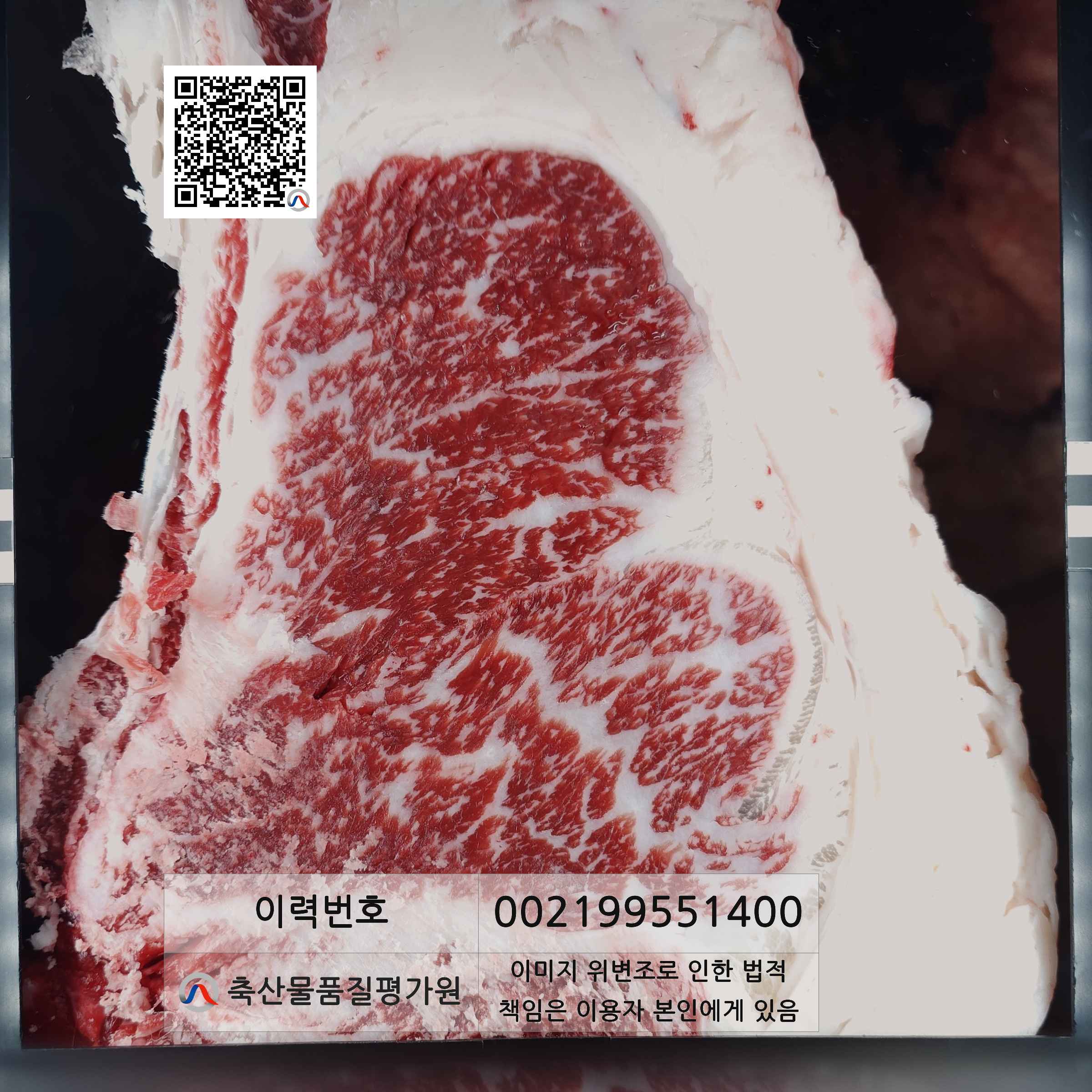 등심단면적 사진