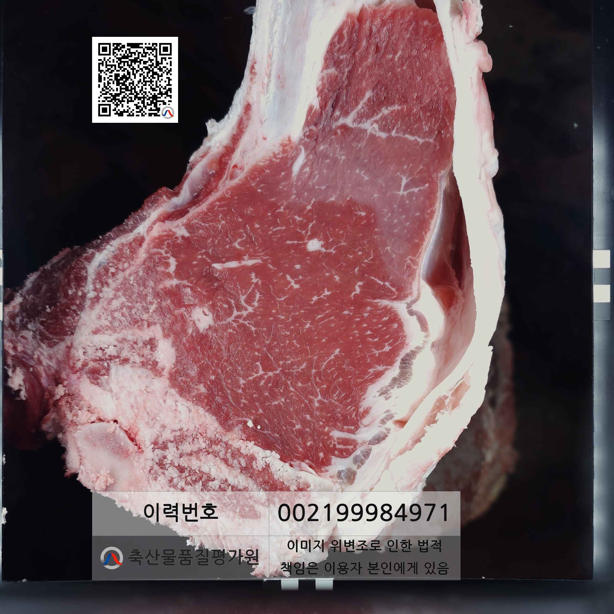 등심단면적 사진