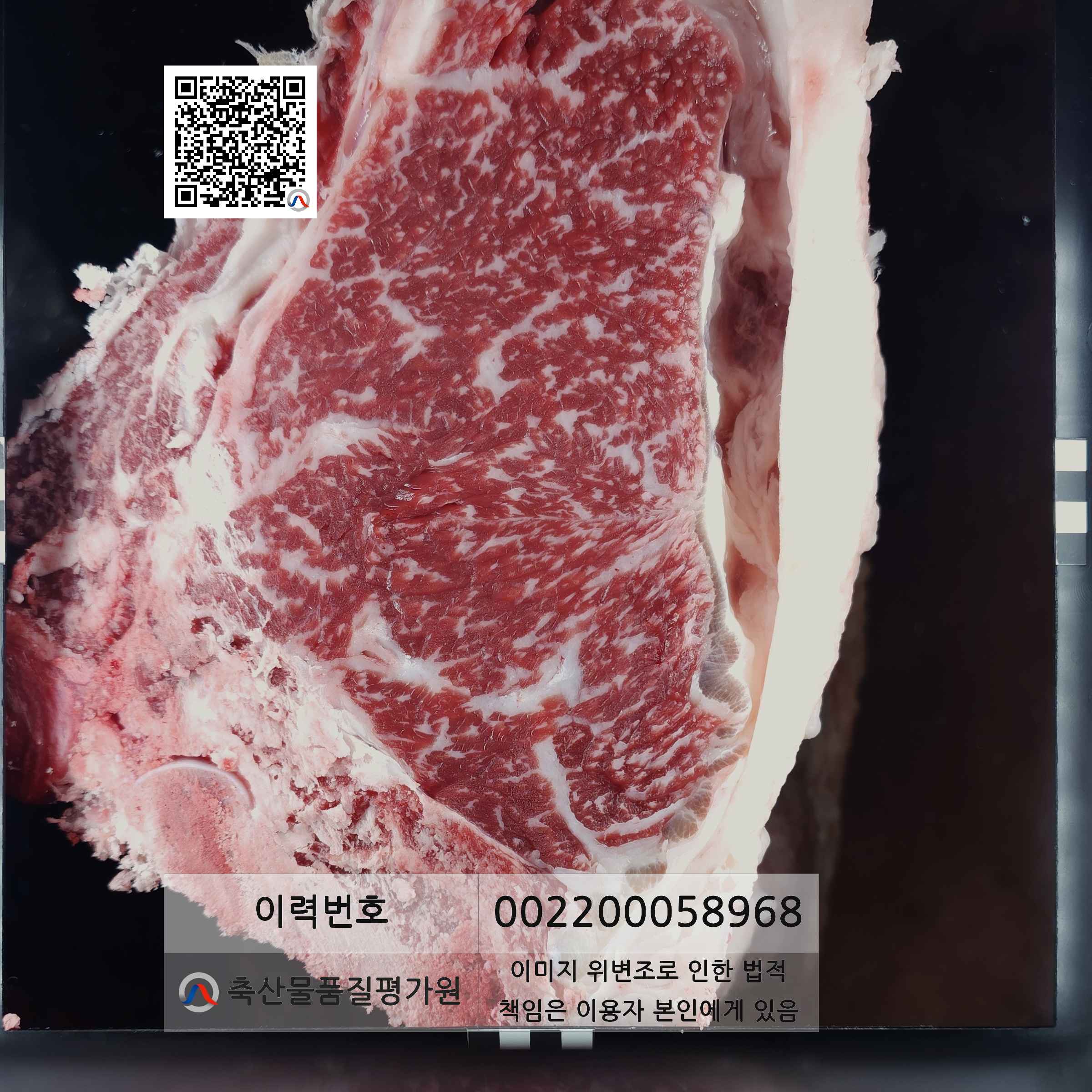 등심단면적 사진