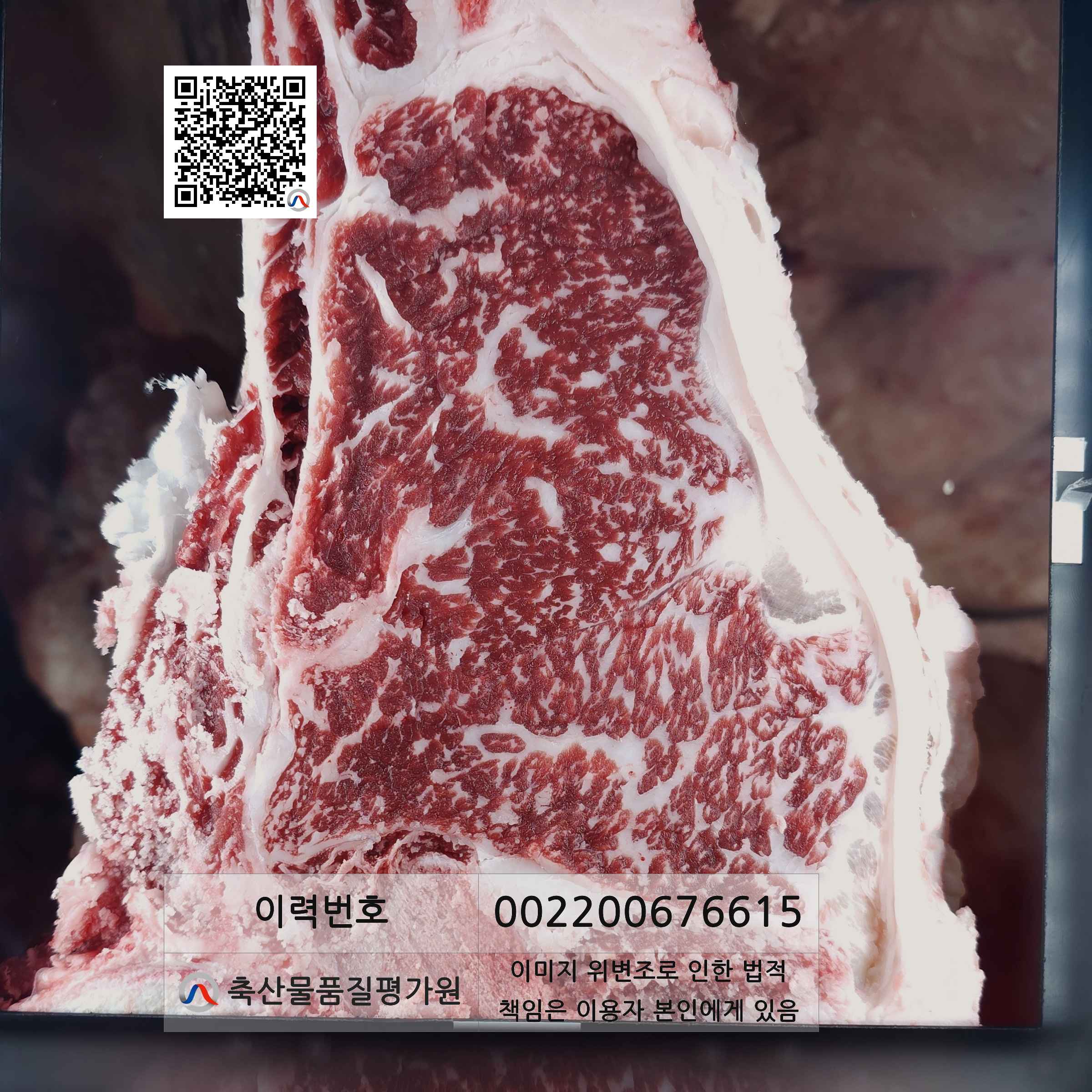 등심단면적 사진