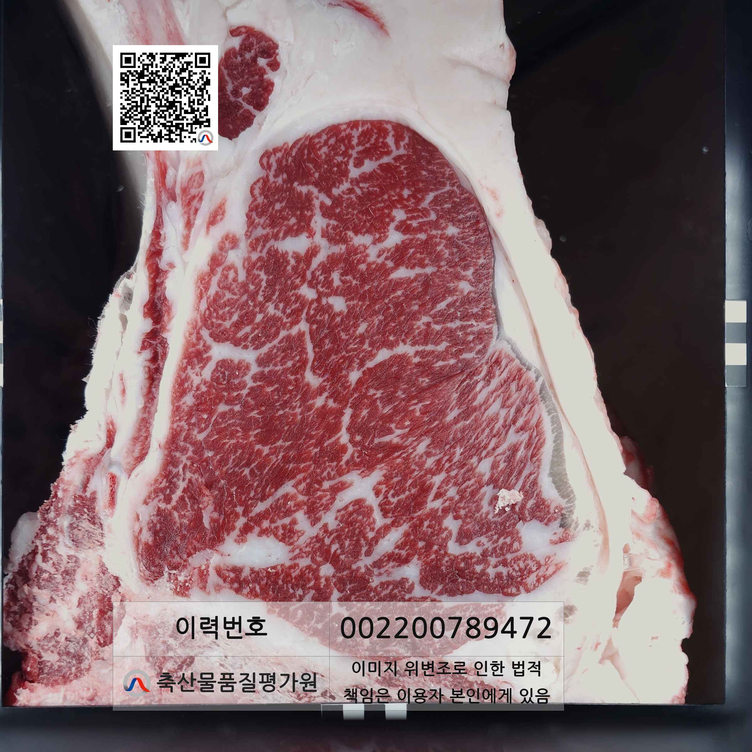 등심단면적 사진