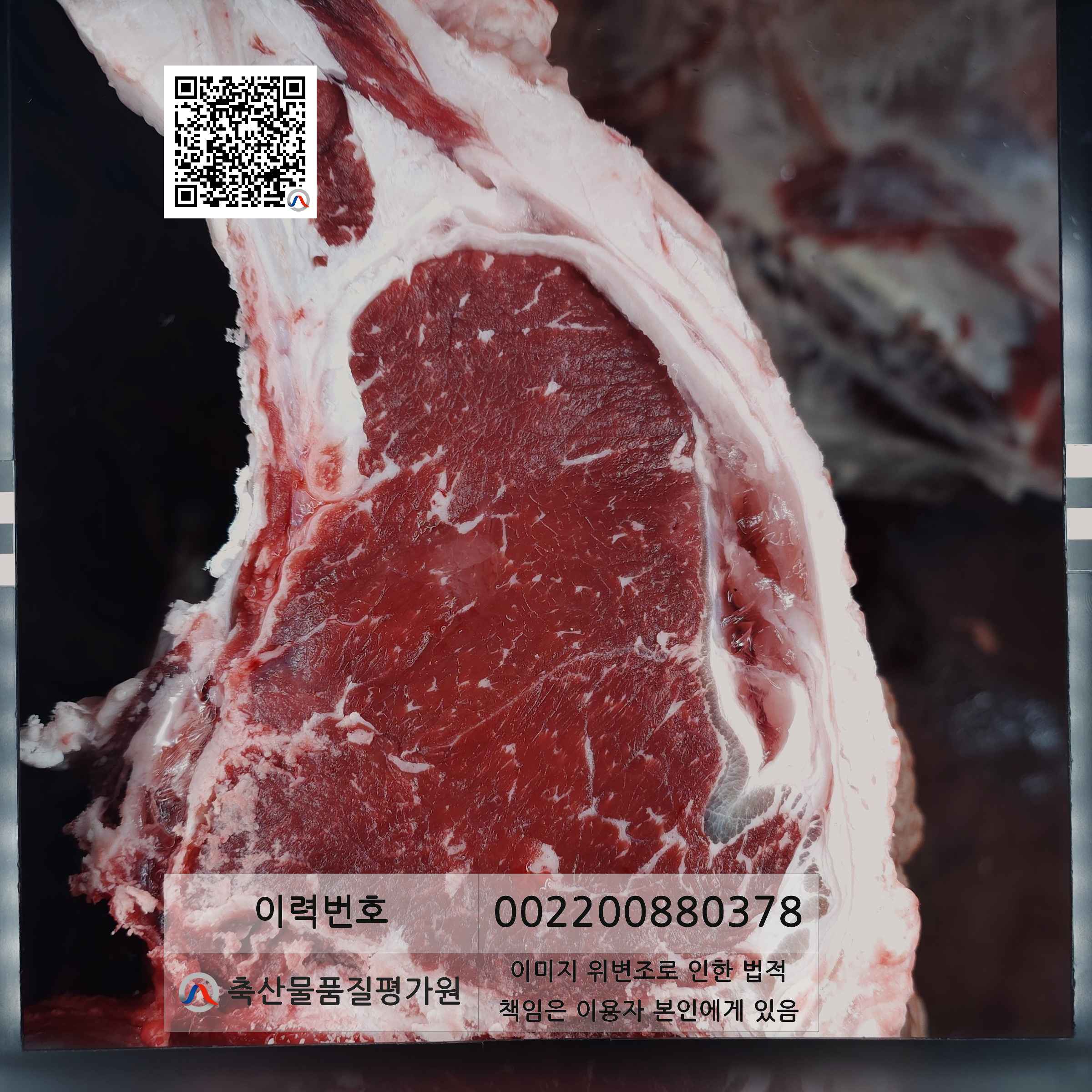 등심단면적 사진