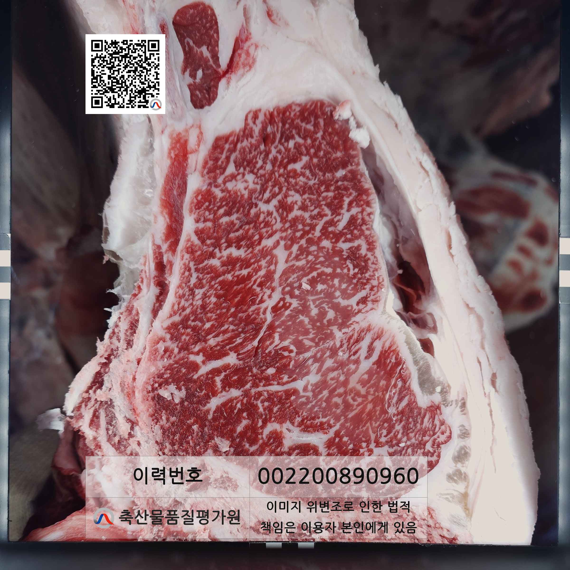 등심단면적 사진