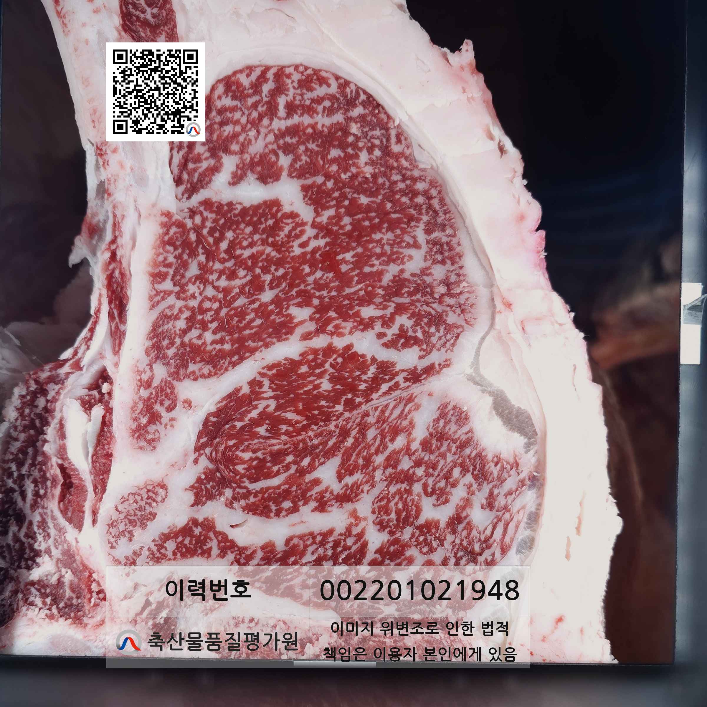 등심단면적 사진
