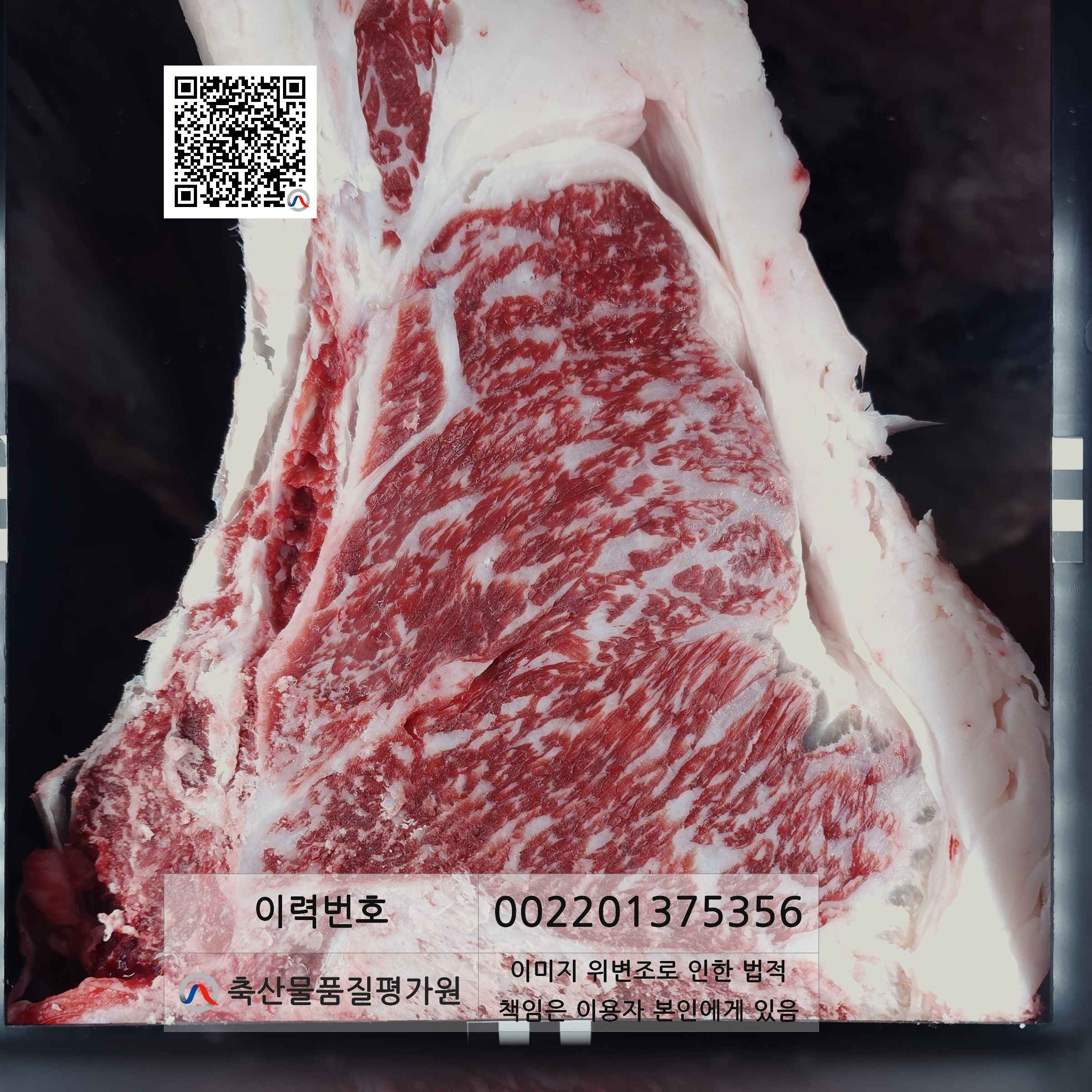 등심단면적 사진