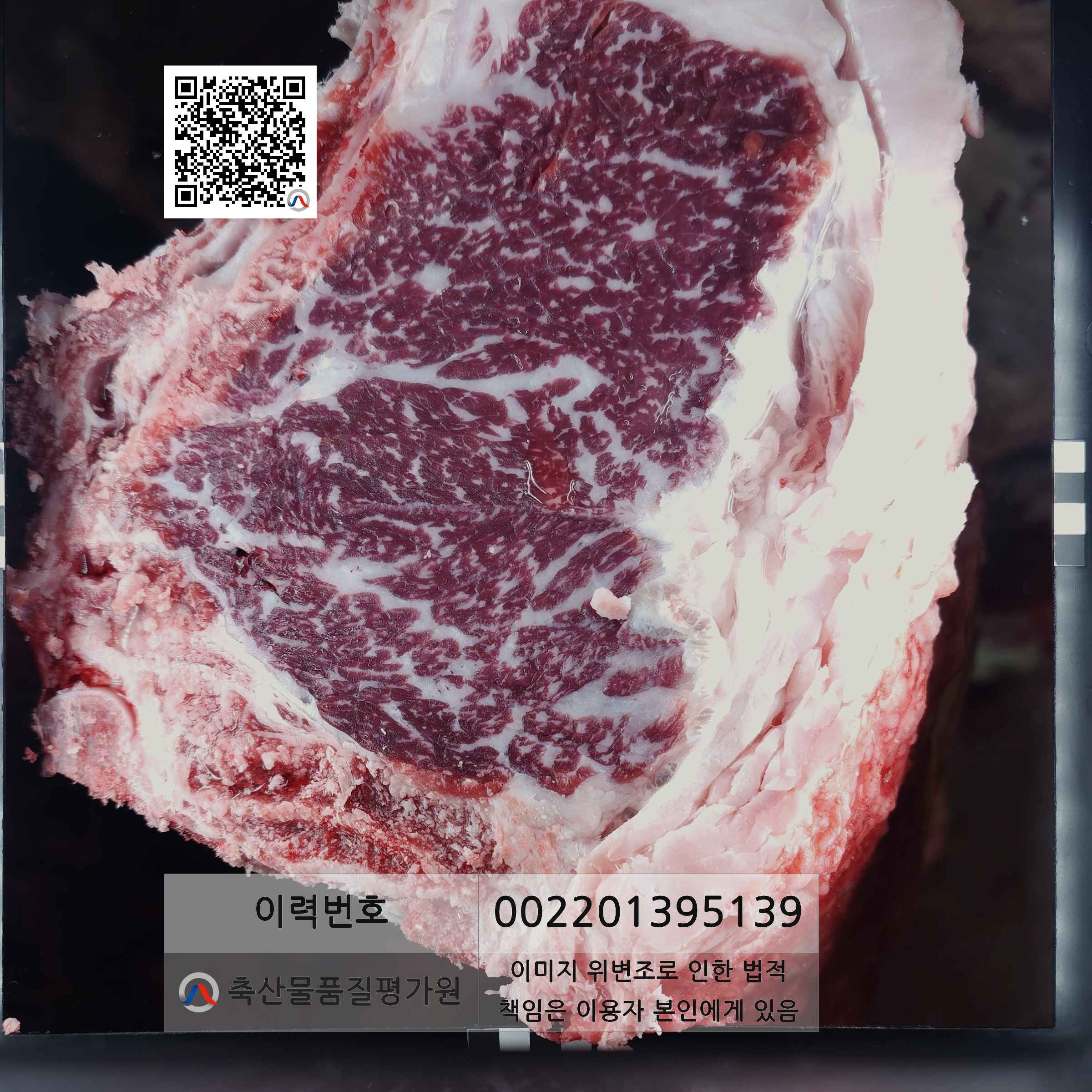 등심단면적 사진