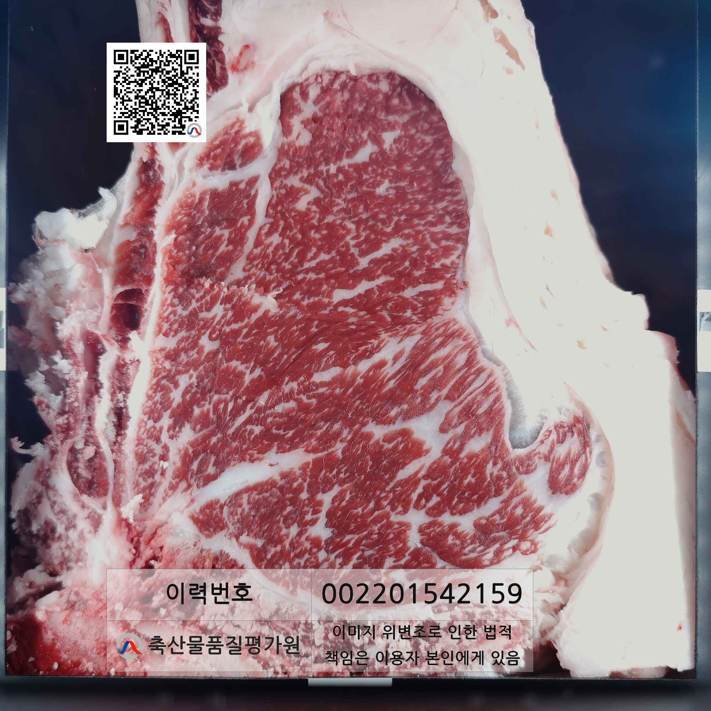 등심단면적 사진