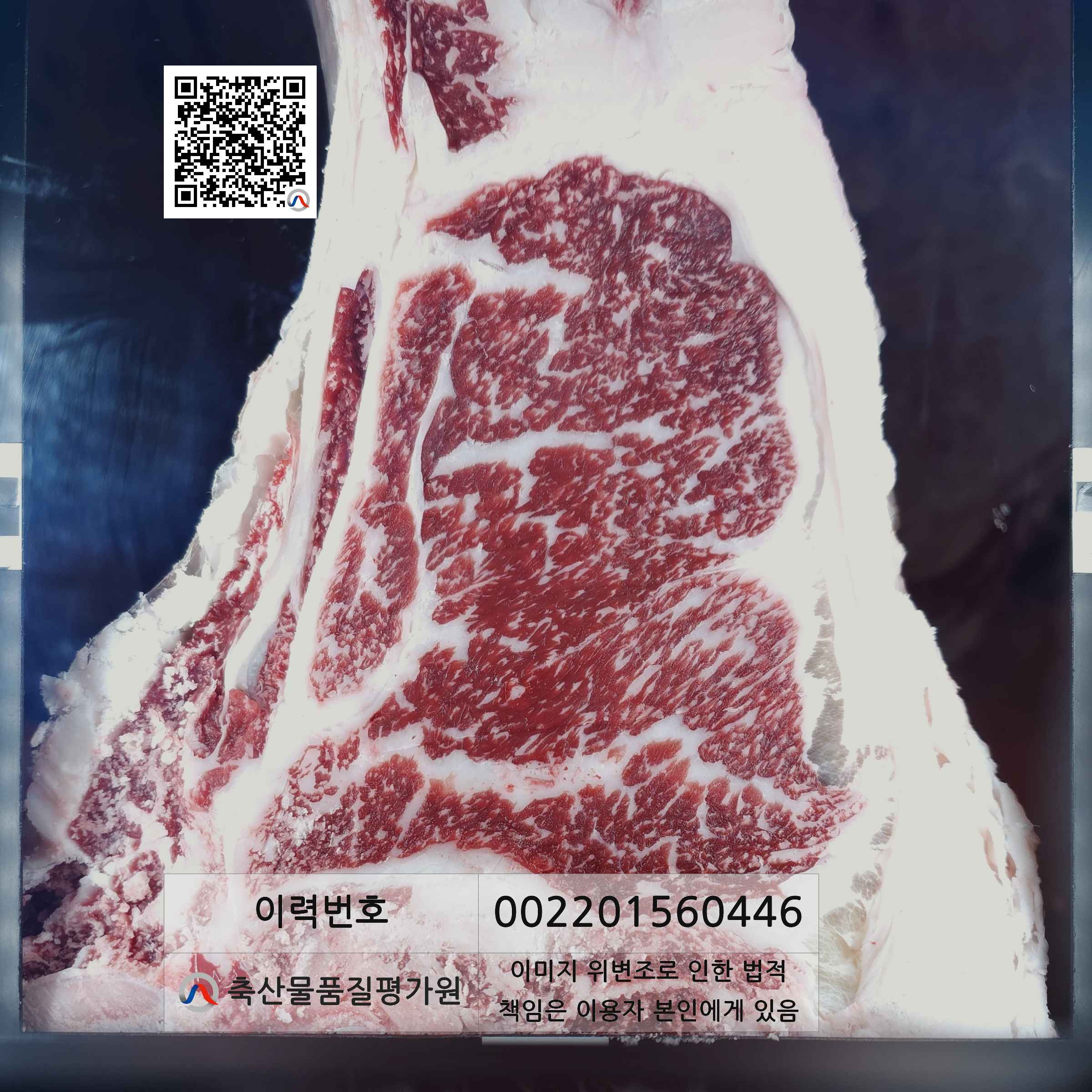 등심단면적 사진