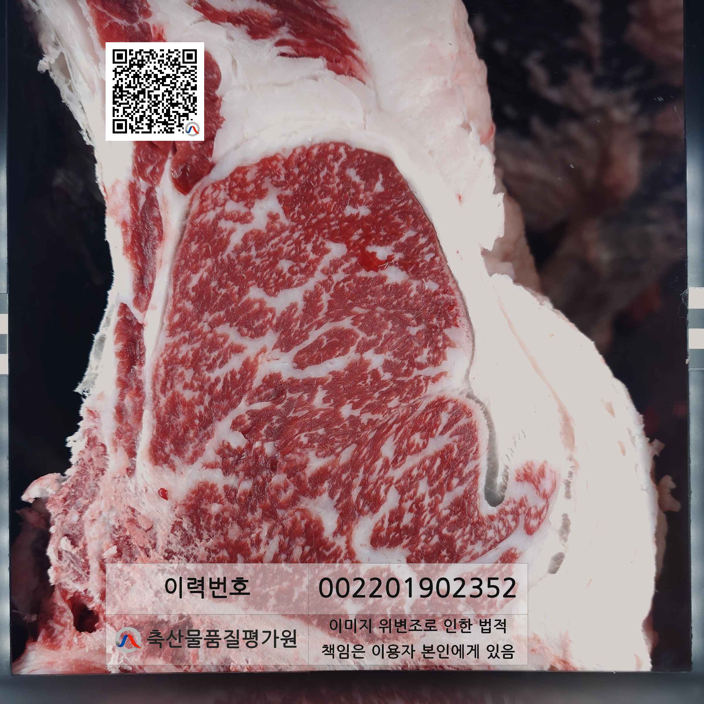등심단면적 사진