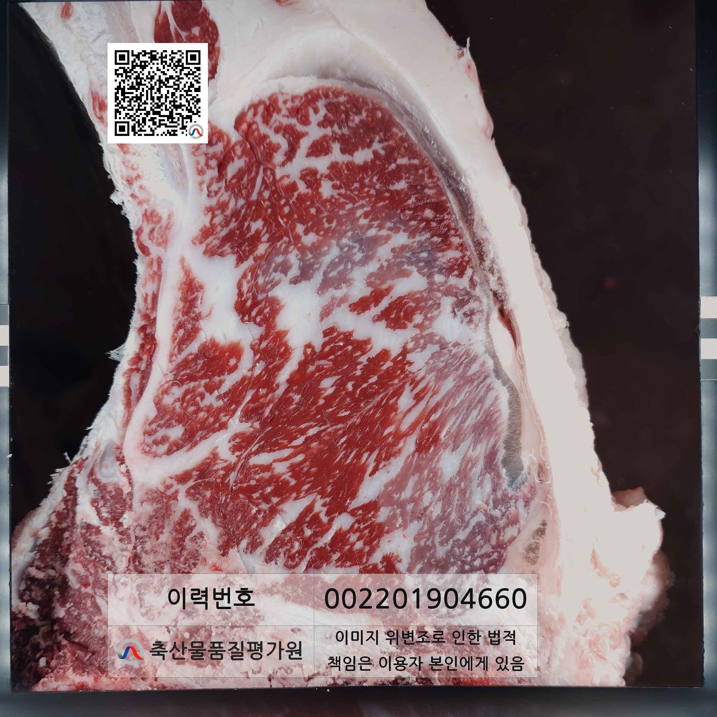 등심단면적 사진