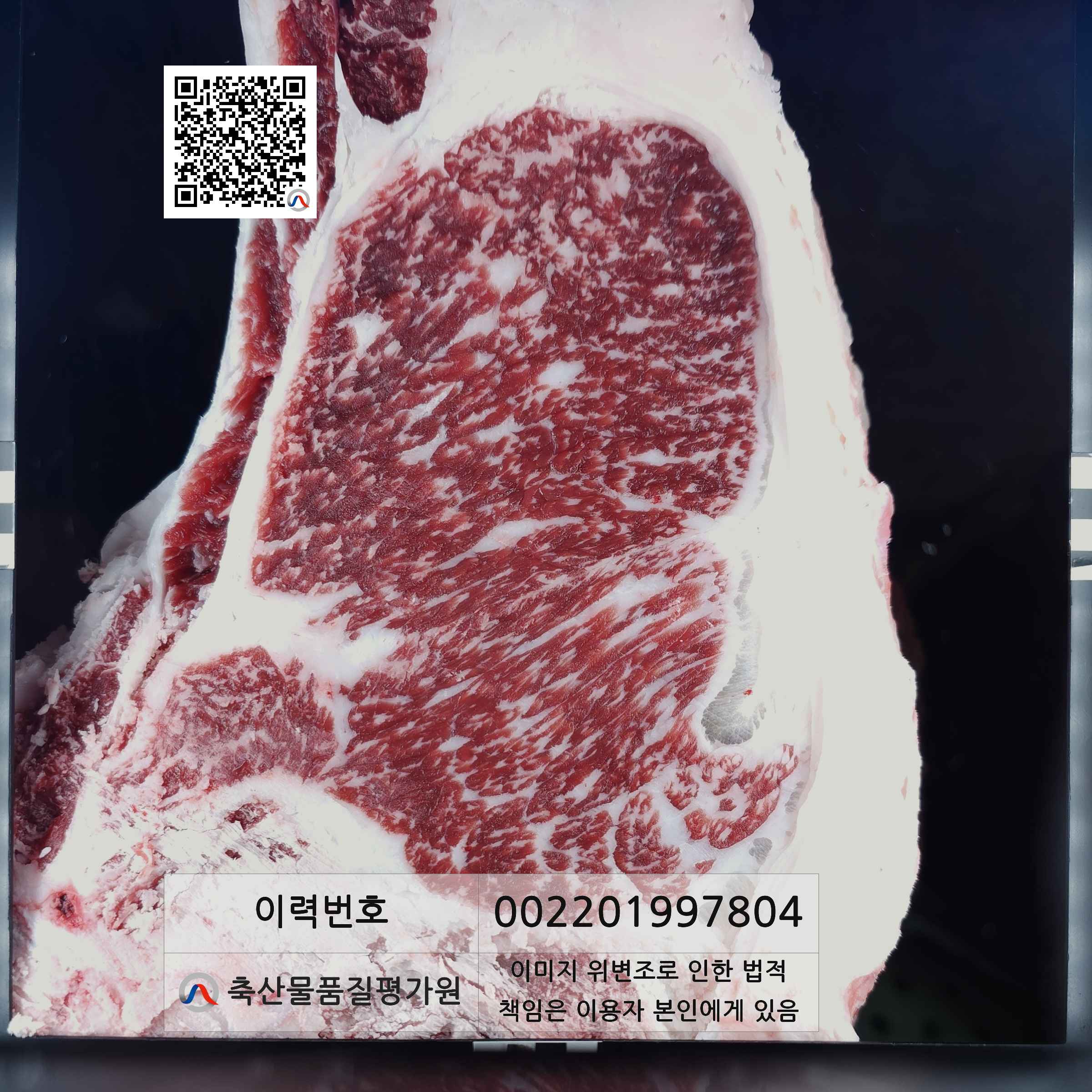 등심단면적 사진