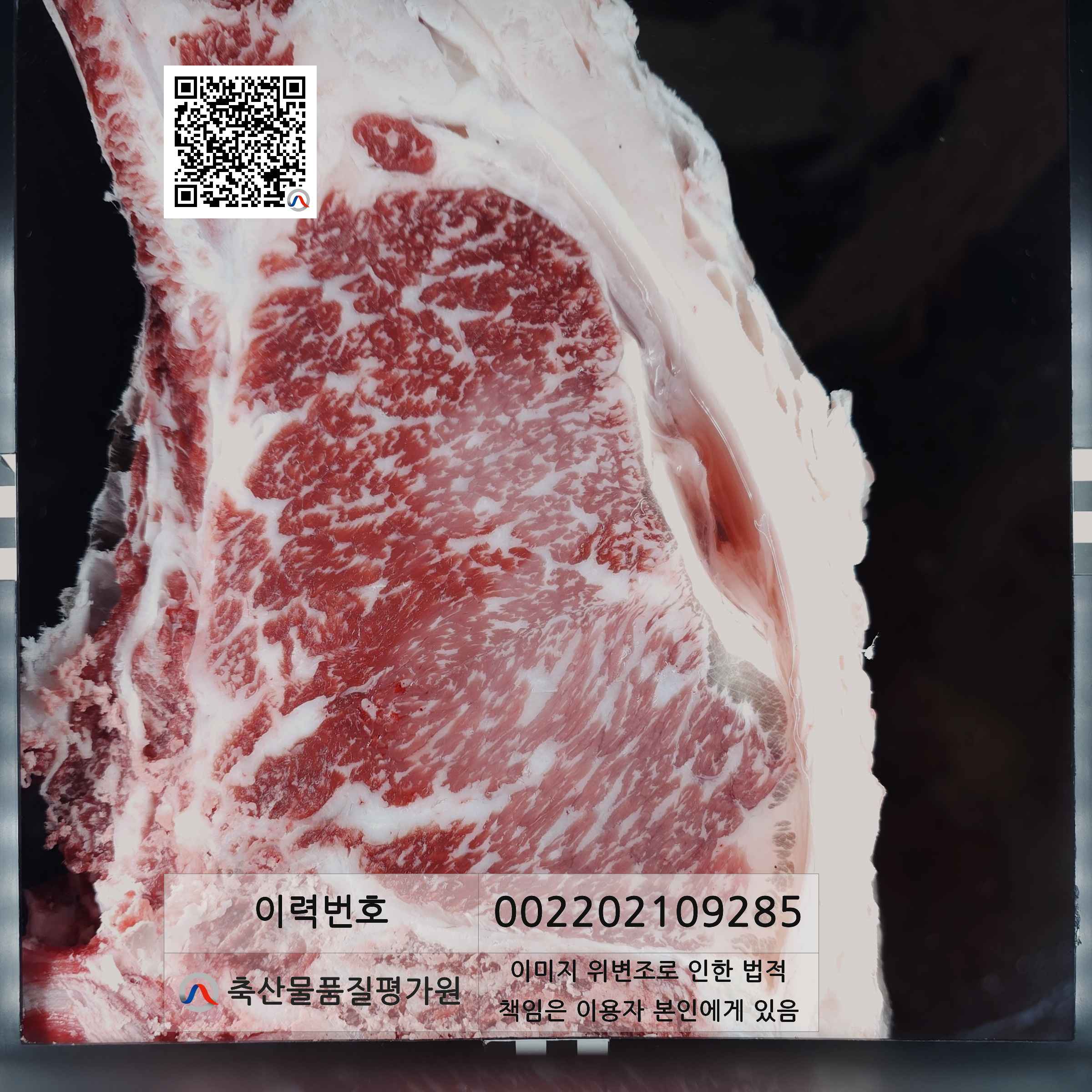 등심단면적 사진