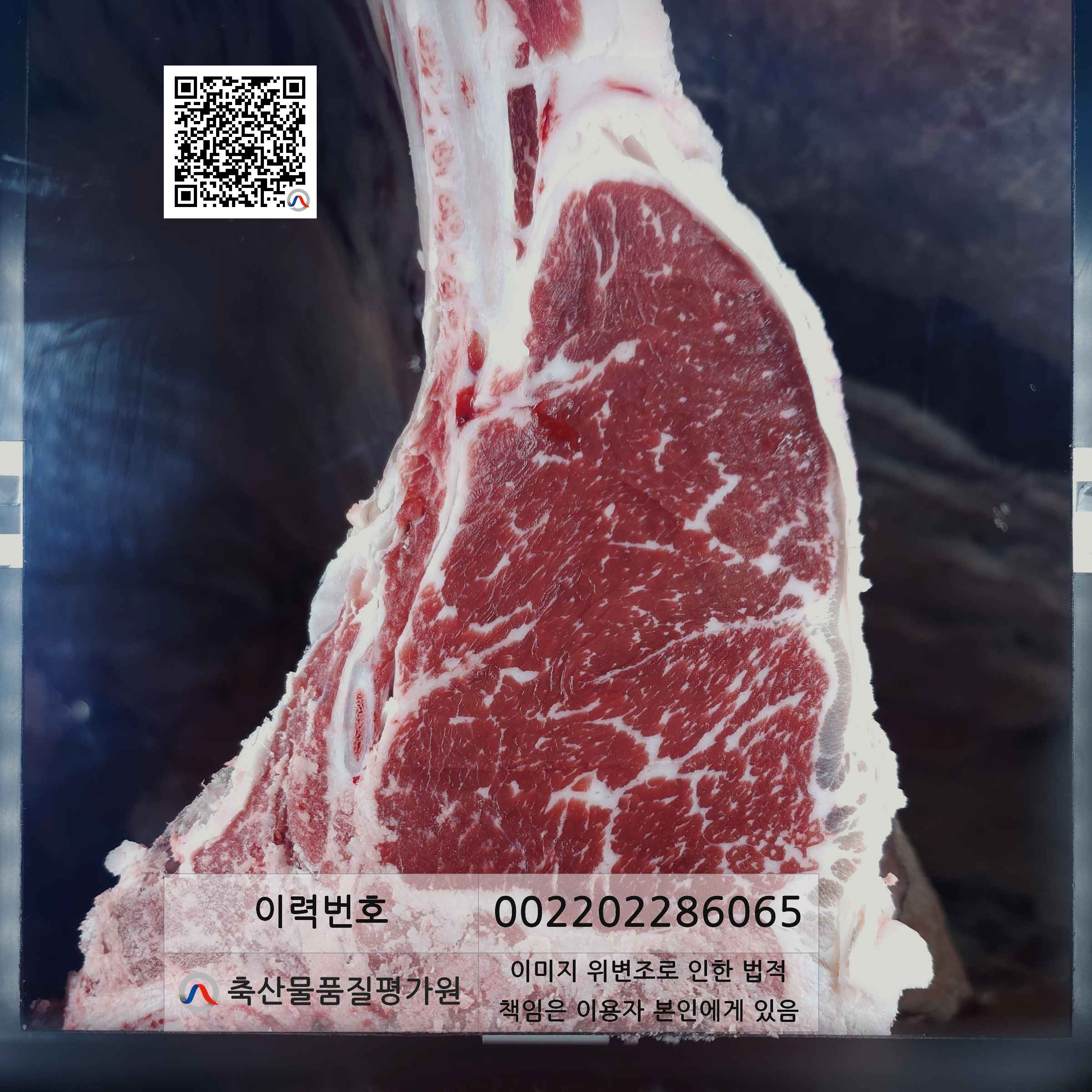 등심단면적 사진