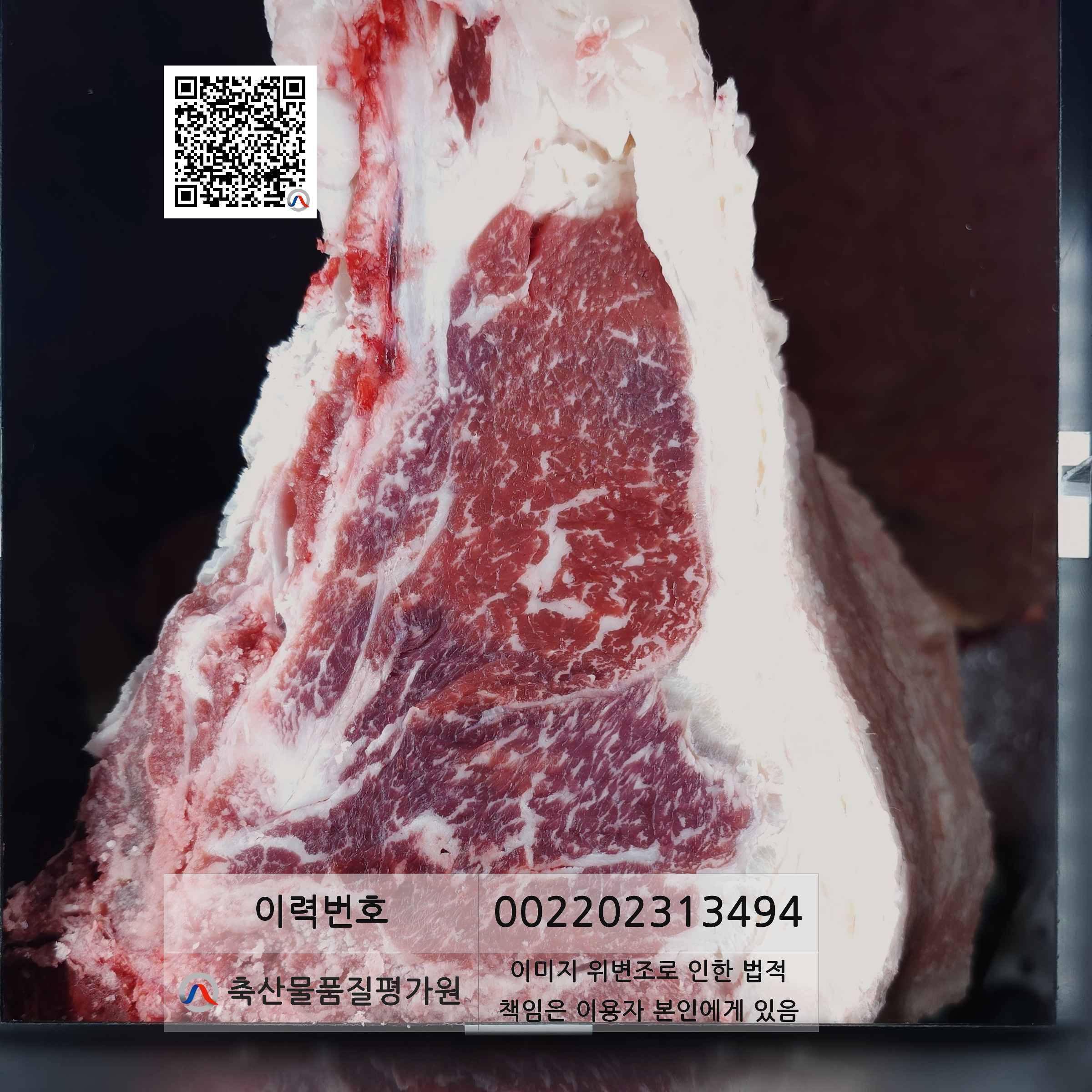 등심단면적 사진