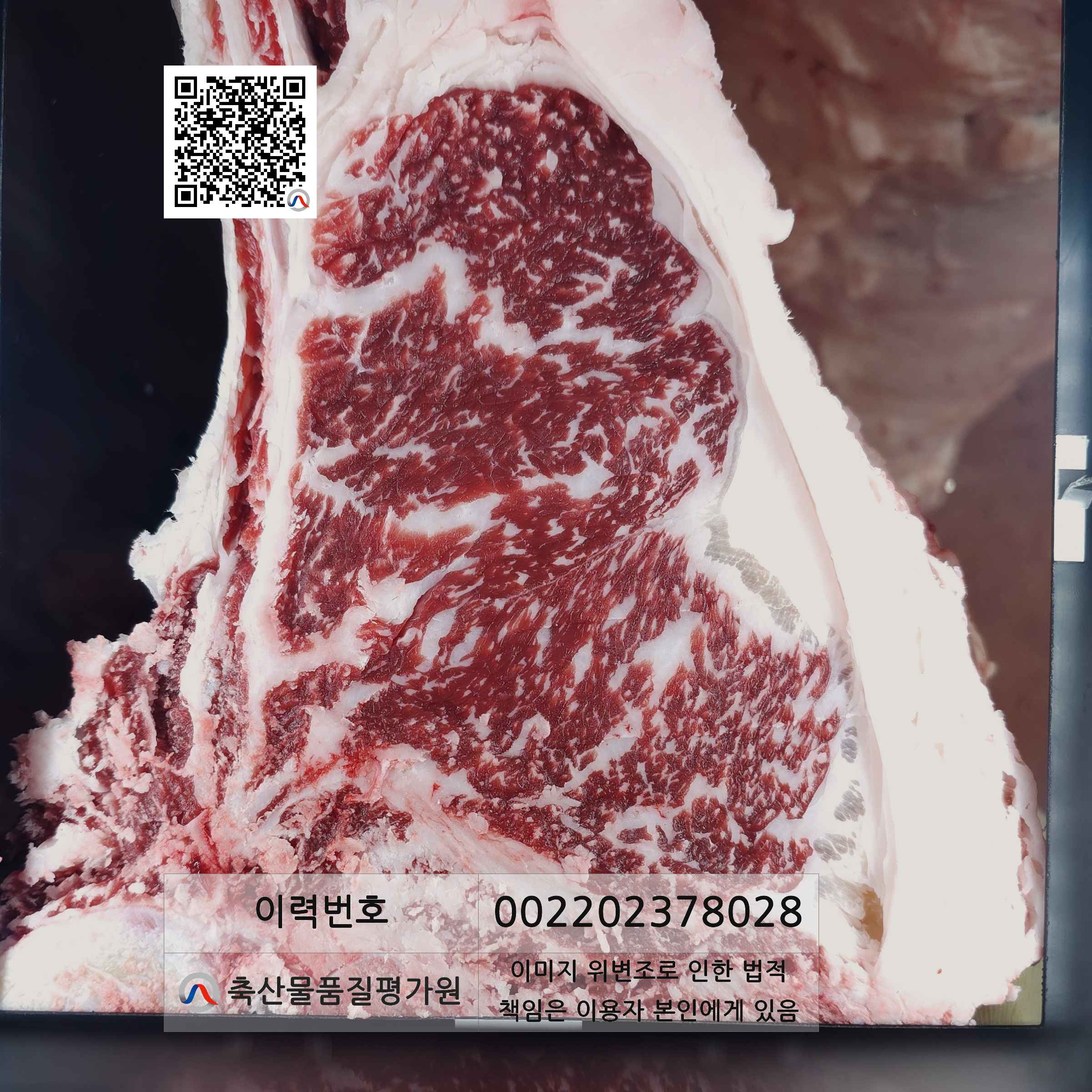 등심단면적 사진