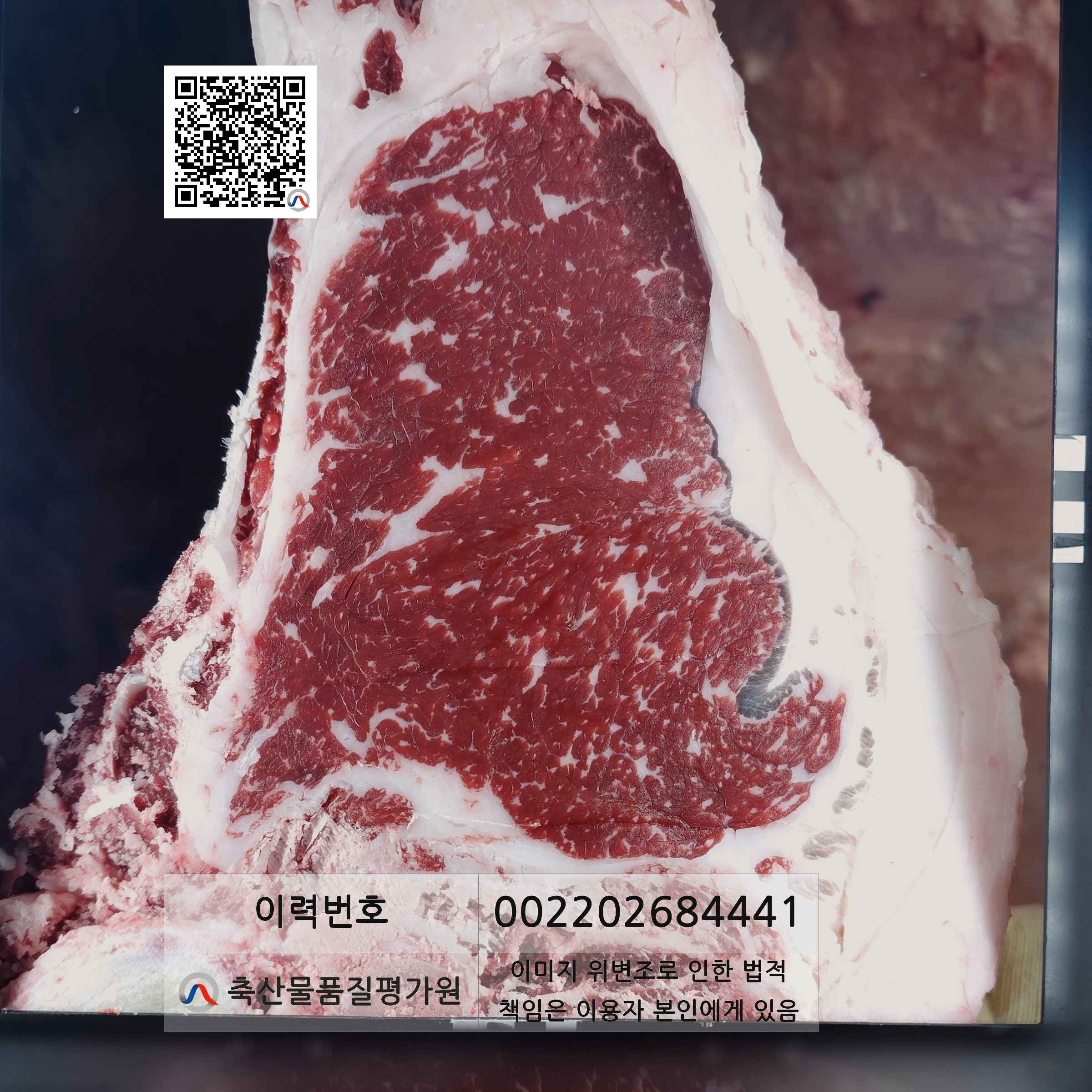 등심단면적 사진
