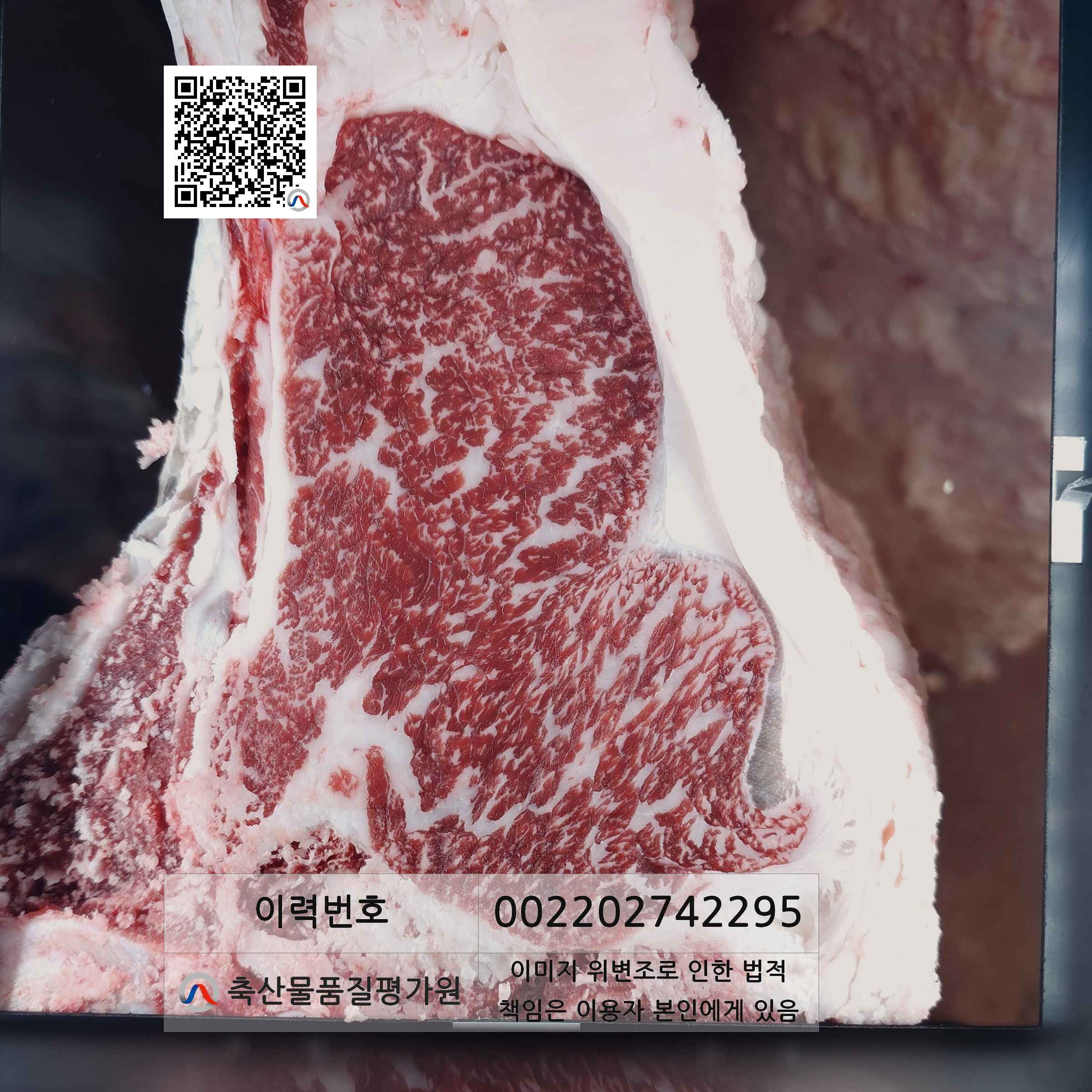 등심단면적 사진