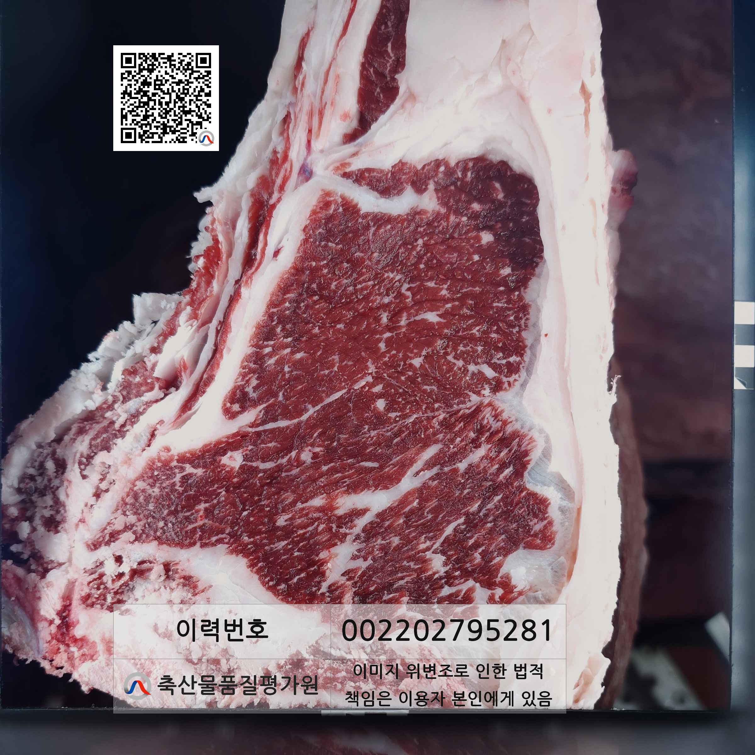 등심단면적 사진