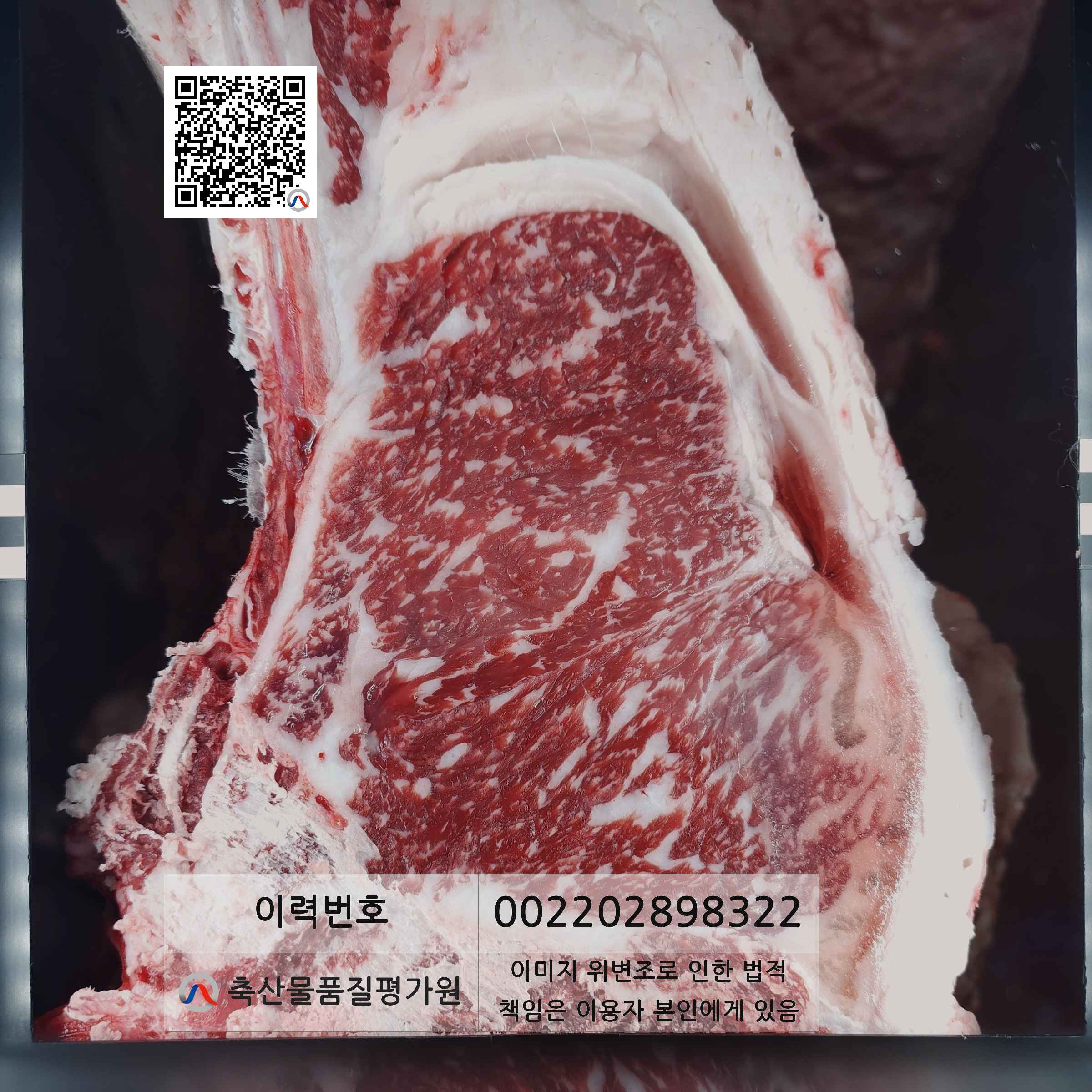 등심단면적 사진