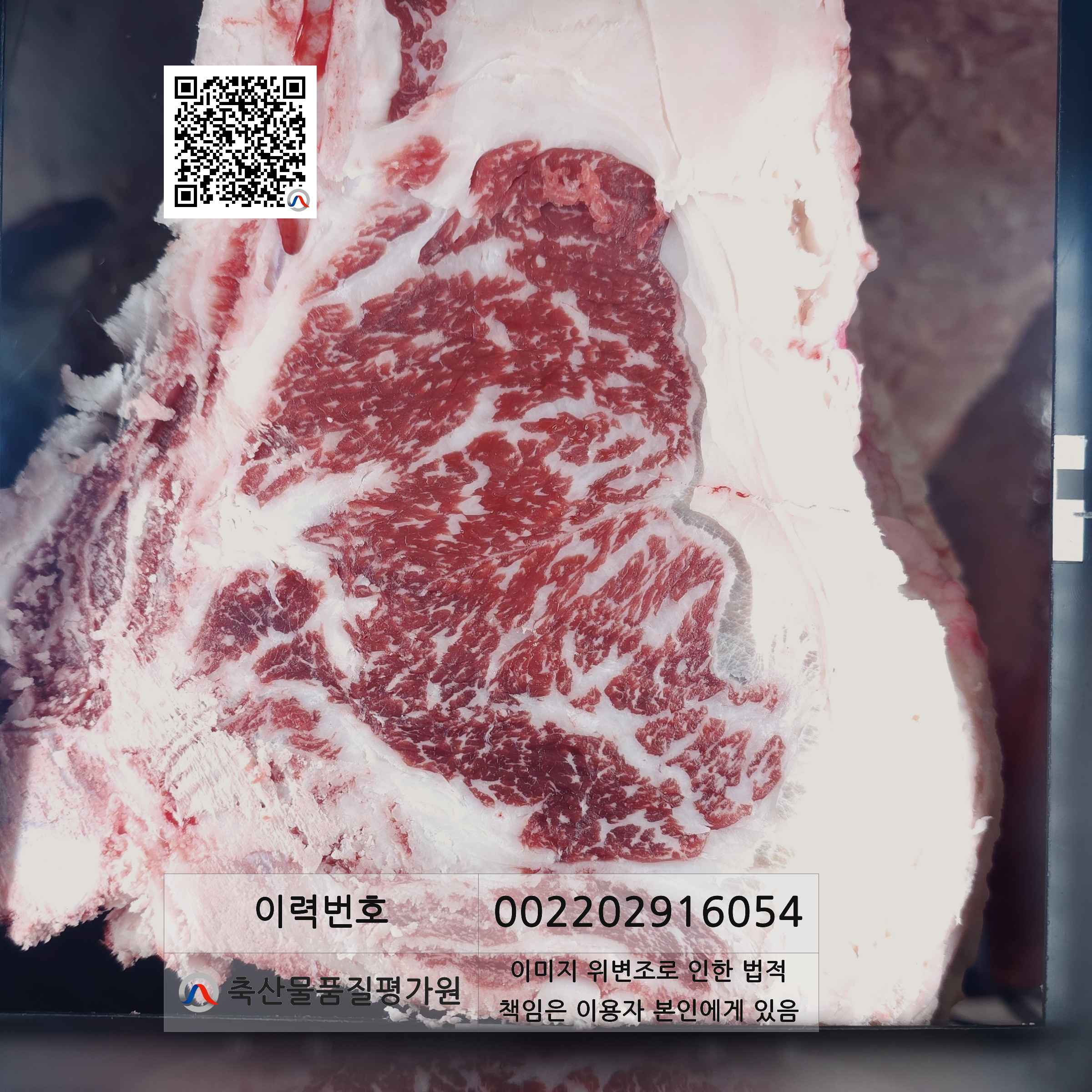 등심단면적 사진