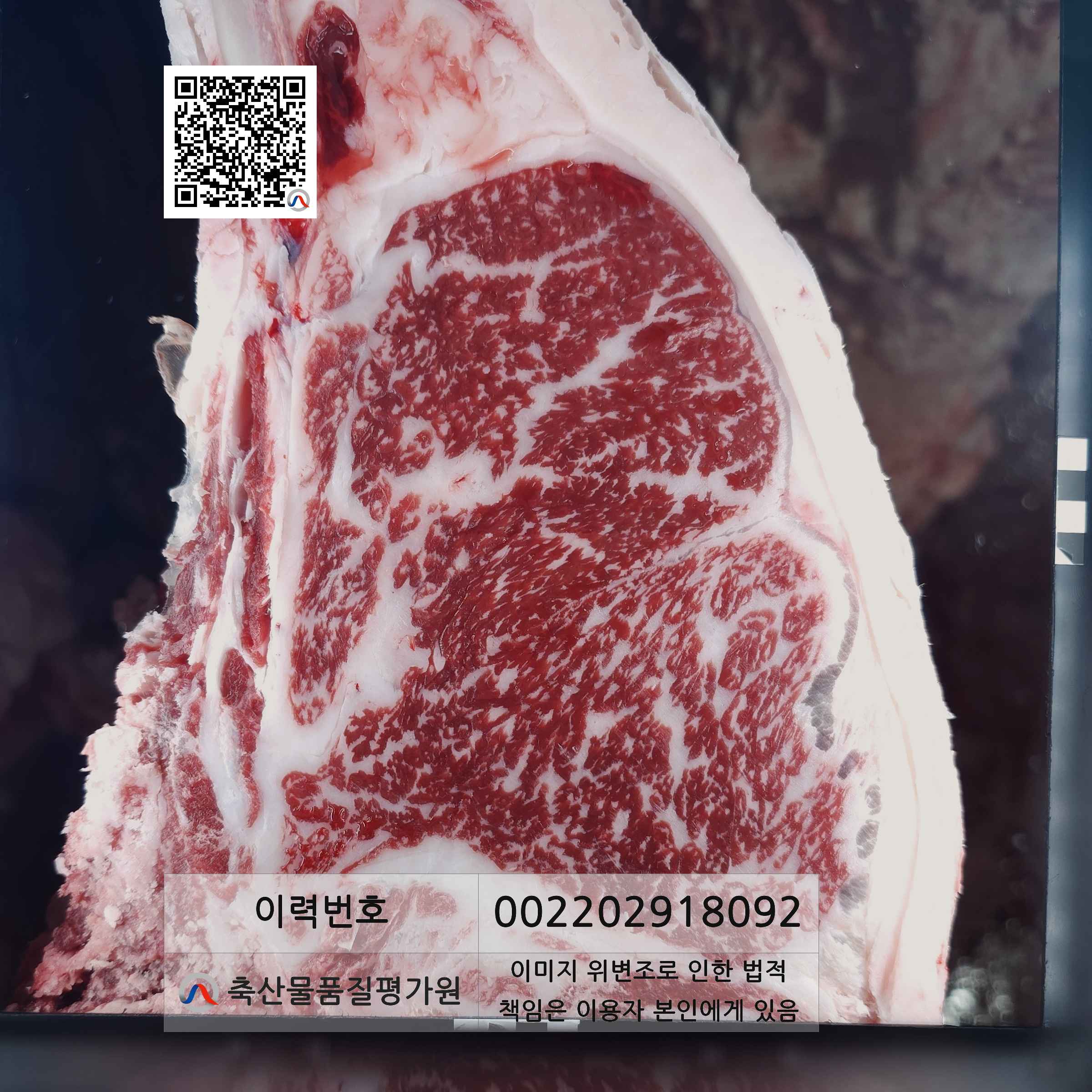 등심단면적 사진