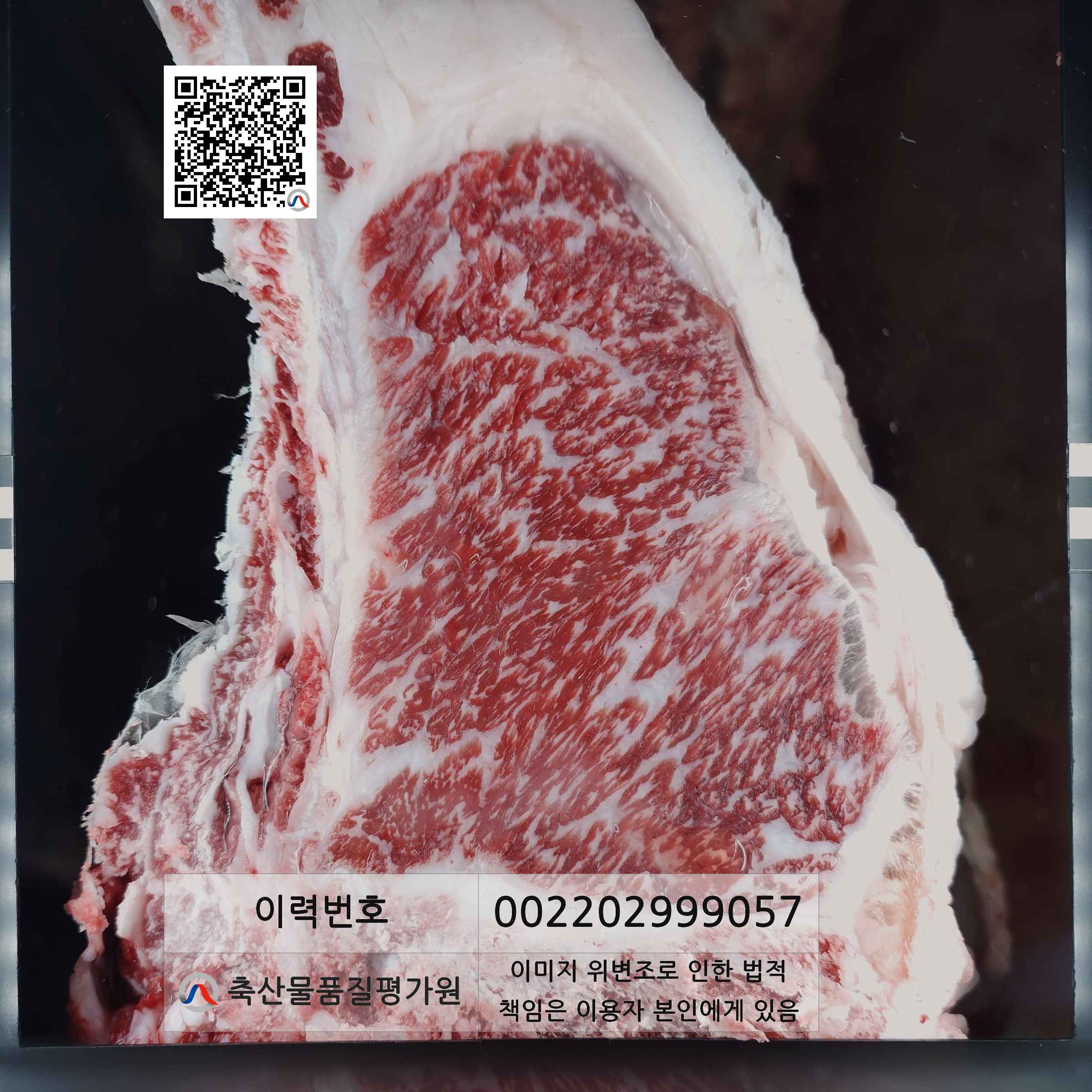 등심단면적 사진