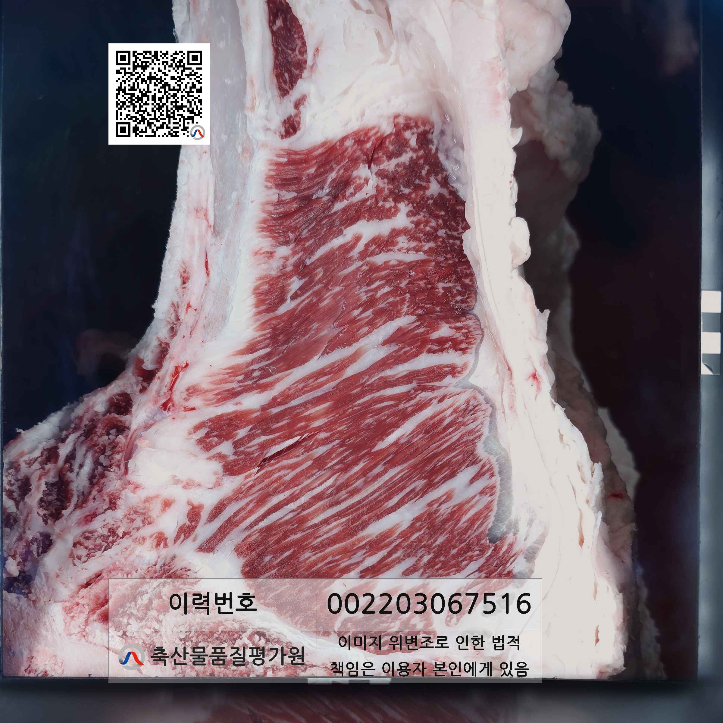 등심단면적 사진