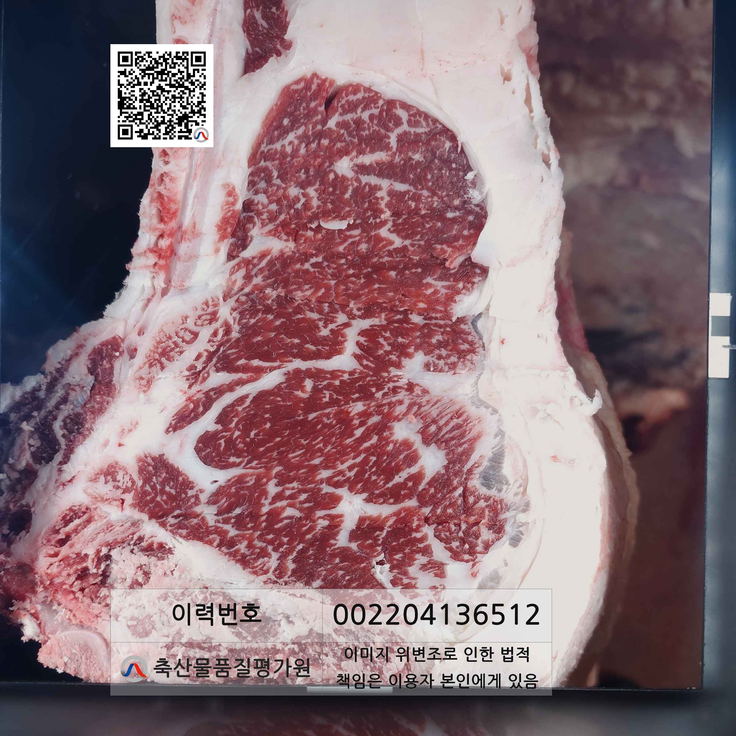 등심단면적 사진