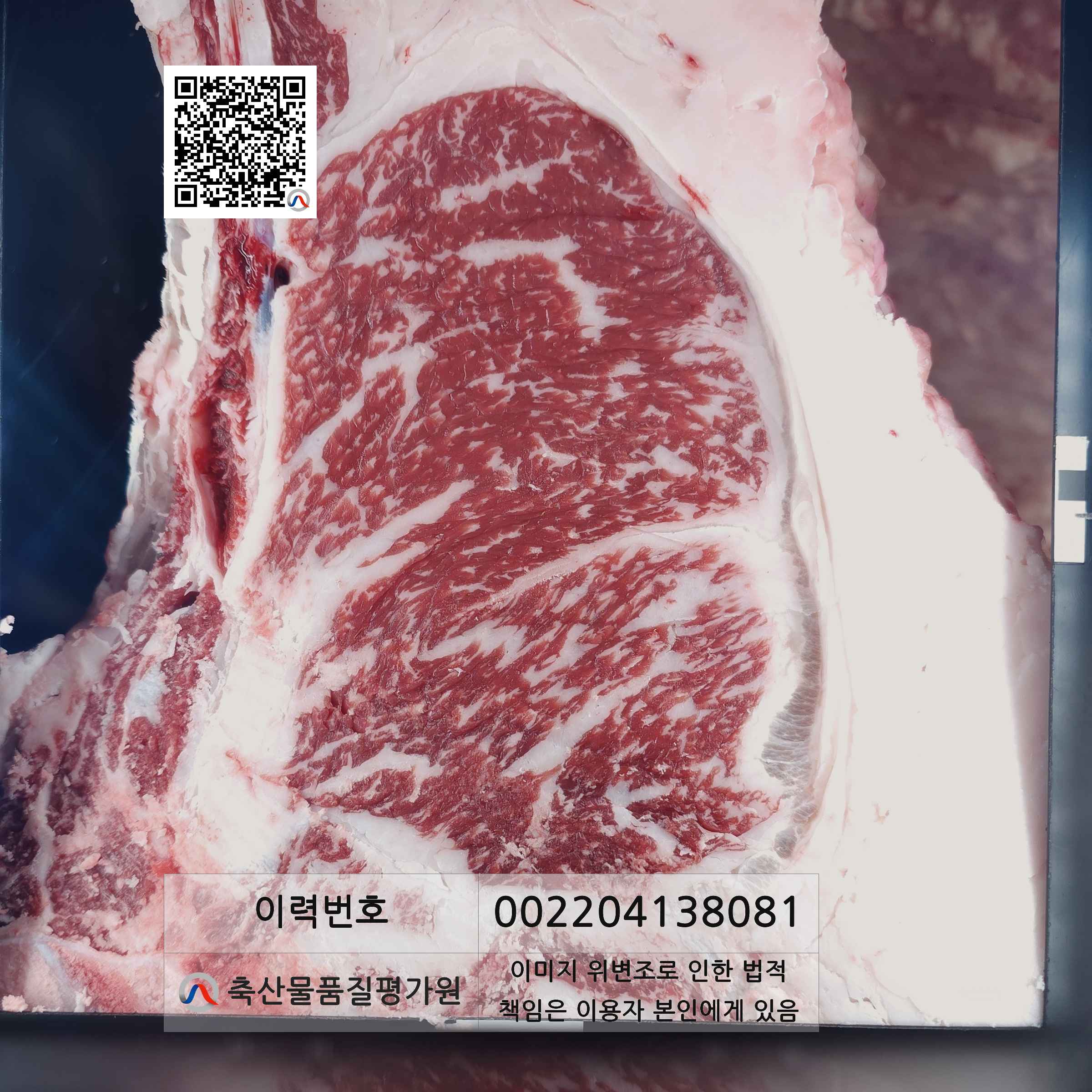 등심단면적 사진