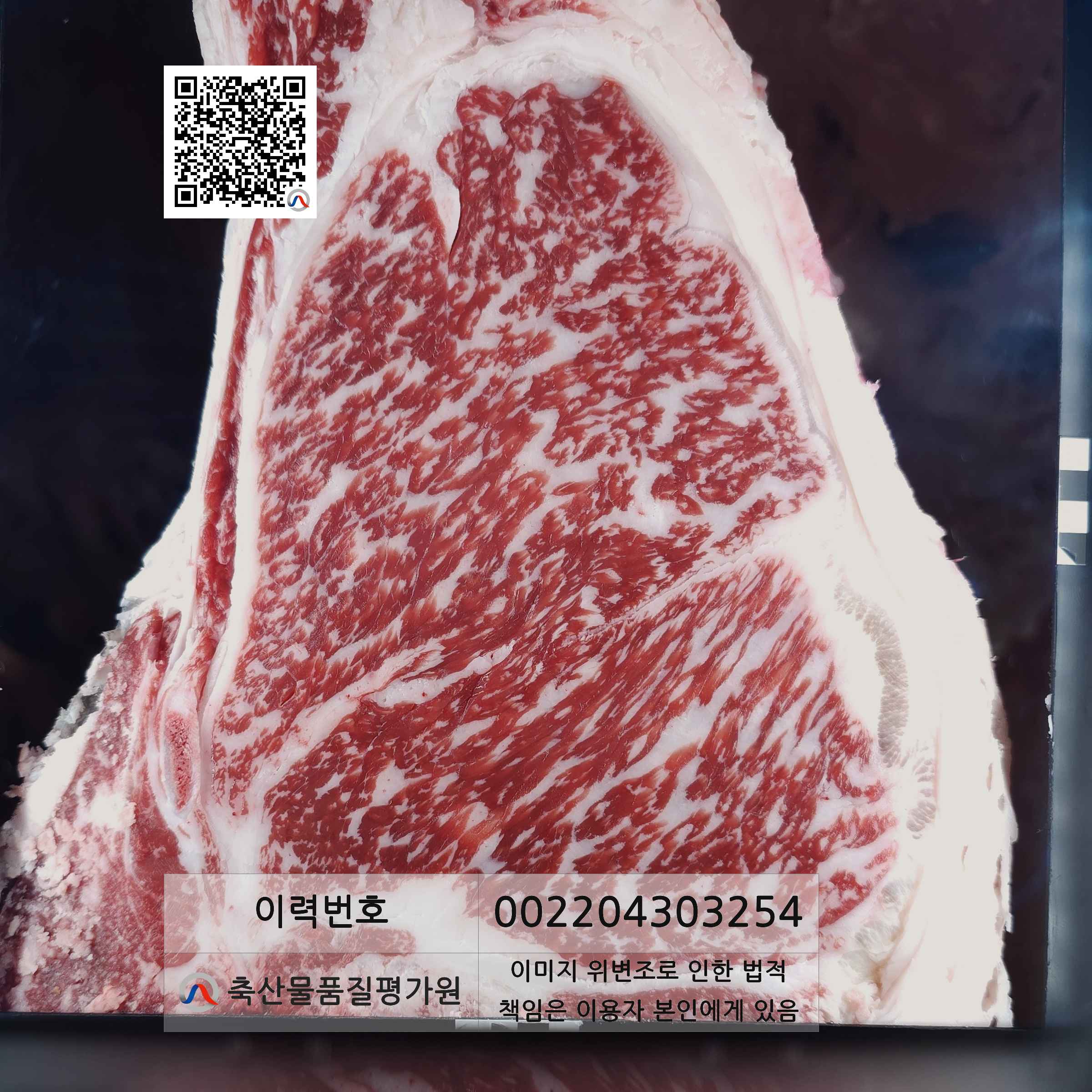 등심단면적 사진
